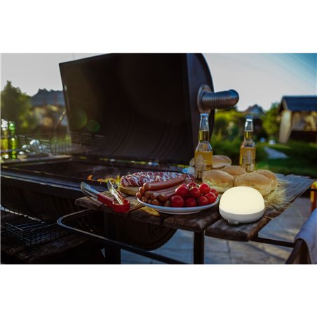 New Garden CHERRY BULB BATTERY Solar&Recharge,white,warm light