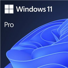 Microsoft Windows 11 Pro 64bit