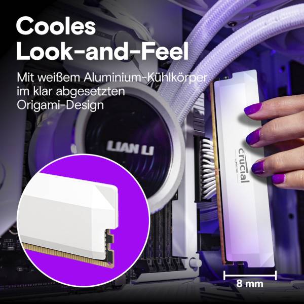 Crucial Pro DDR5-6400 Set 32GB 2x16GB UDIMM CL38 W Overclocking