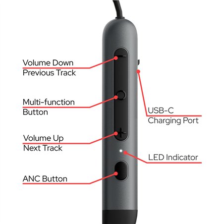 Verbatim TruSound ANC Neckband Earbuds, schwarz           30205