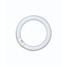 Osram Circular Fluorescent Lamp L 40W/840 C G10Q Neutralwhite T9