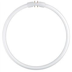 Osram Circular Fluorescent Lamp T5 FC22W 840 2GX13
