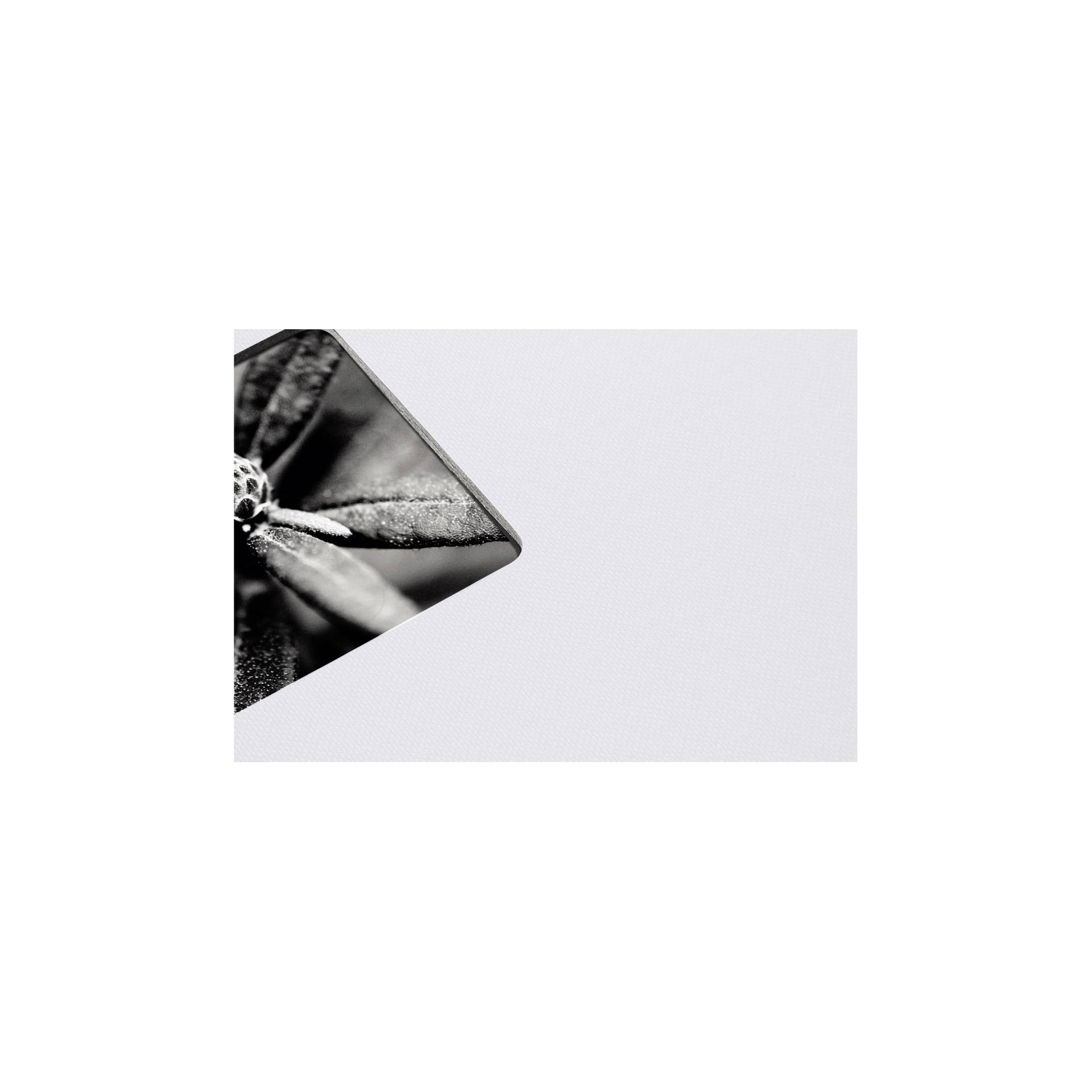 Hama  Fine Art 28x24 50 pagine nere 2108