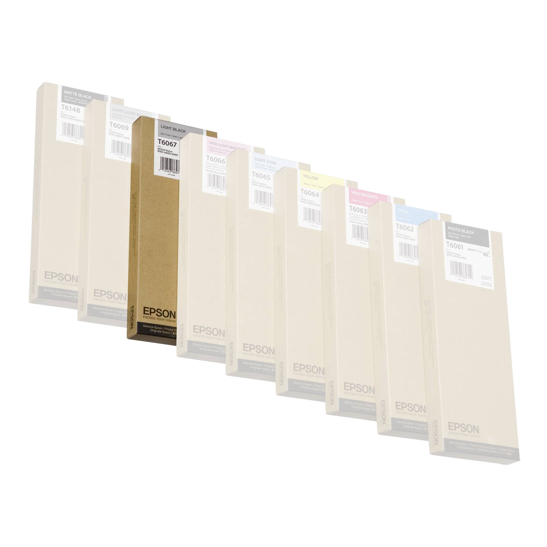 Epson cartuccia light nero T 606 220 ml T 6067