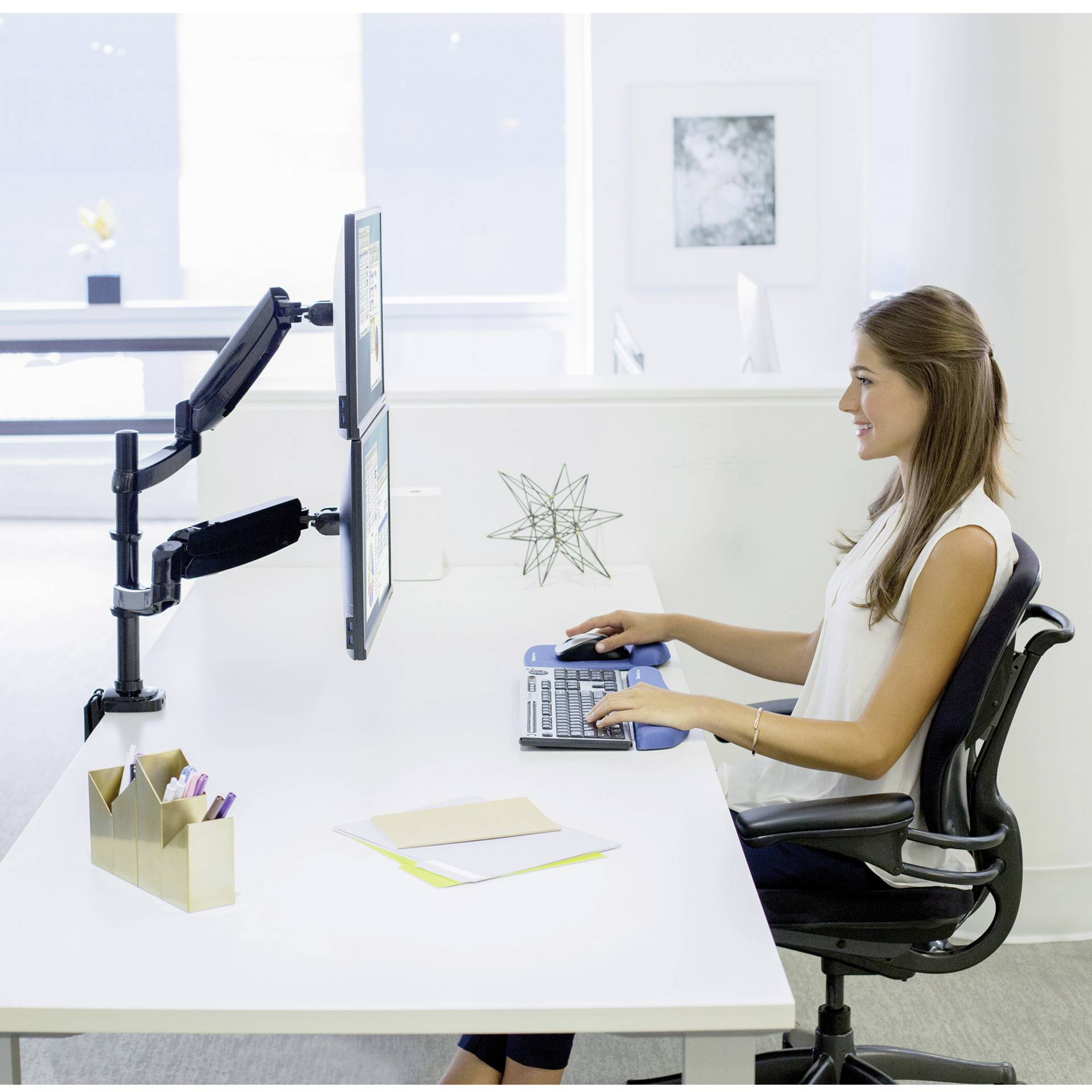 Fellowes Platinum Series braccio monitor doppio verticale