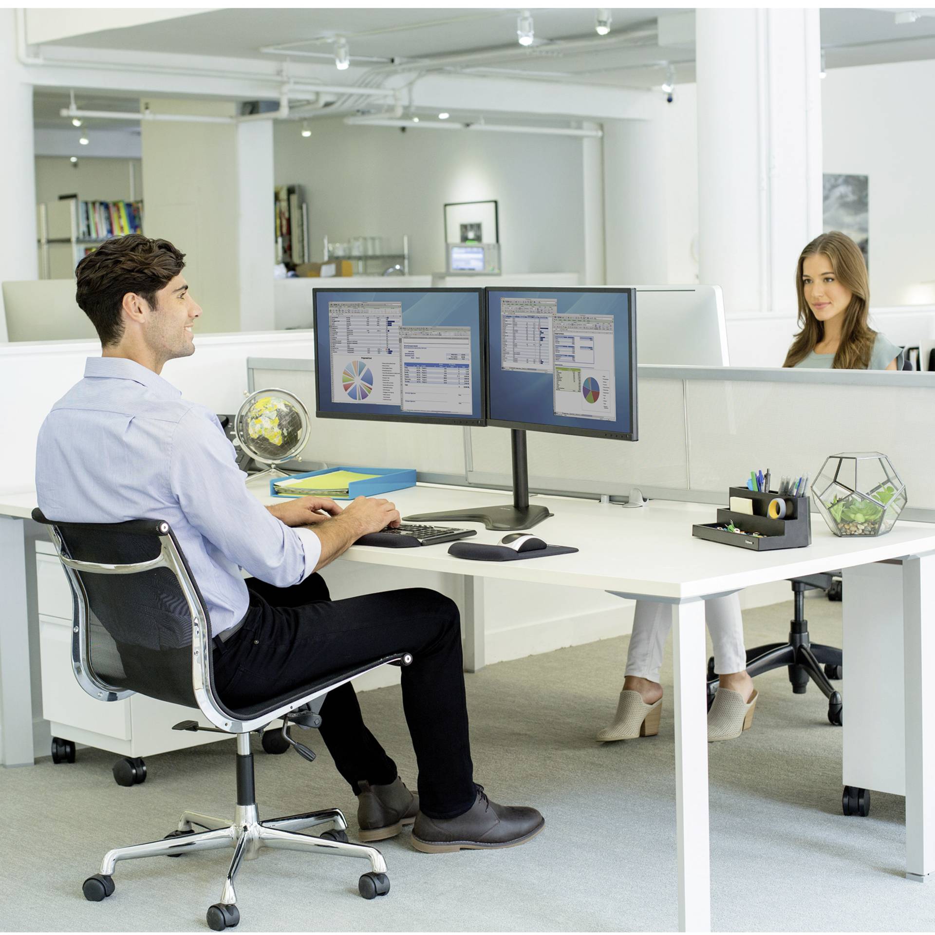 Fellowes Professional Series free standing double arm