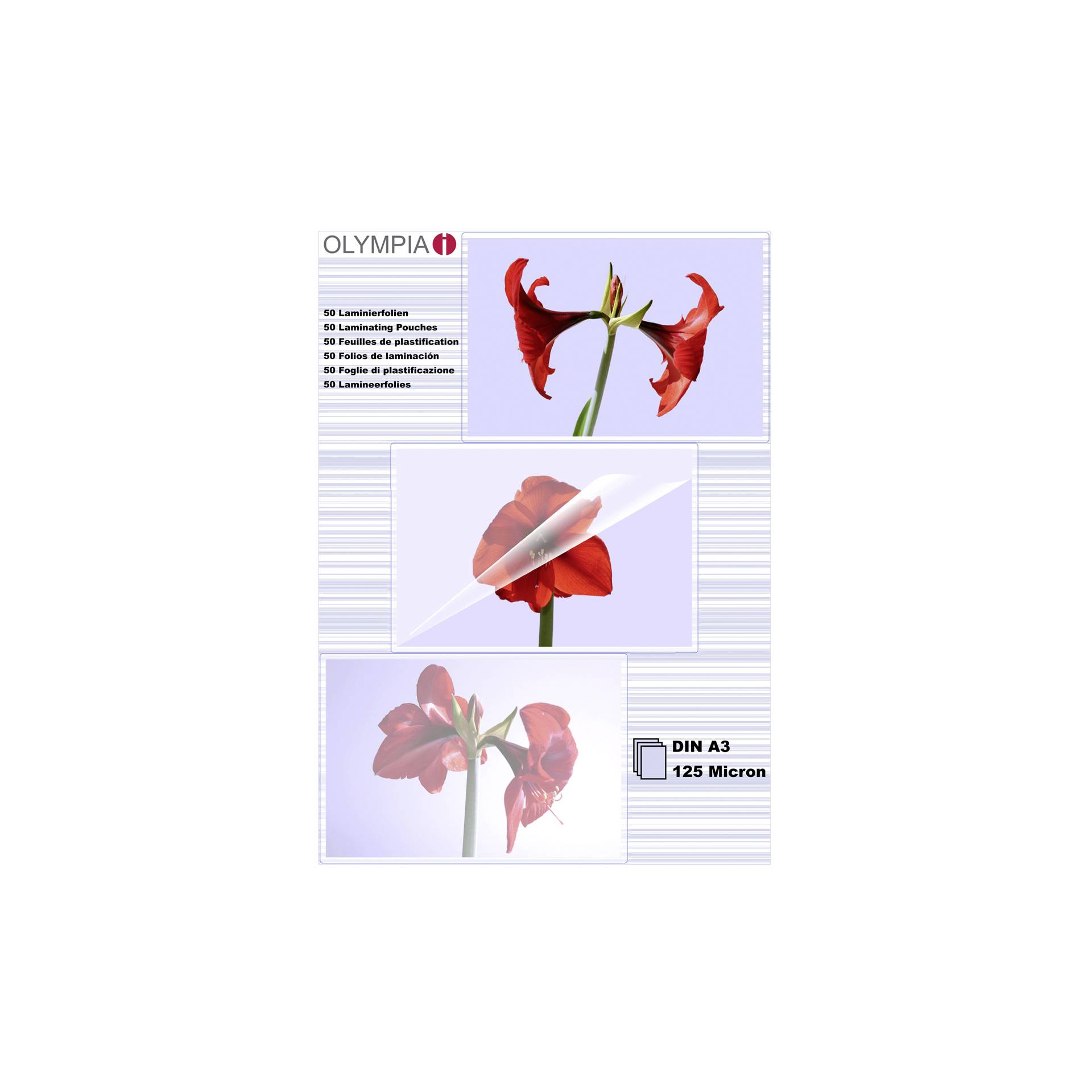 1x50 Olympia Buste di plastific. DIN A3 125 micron