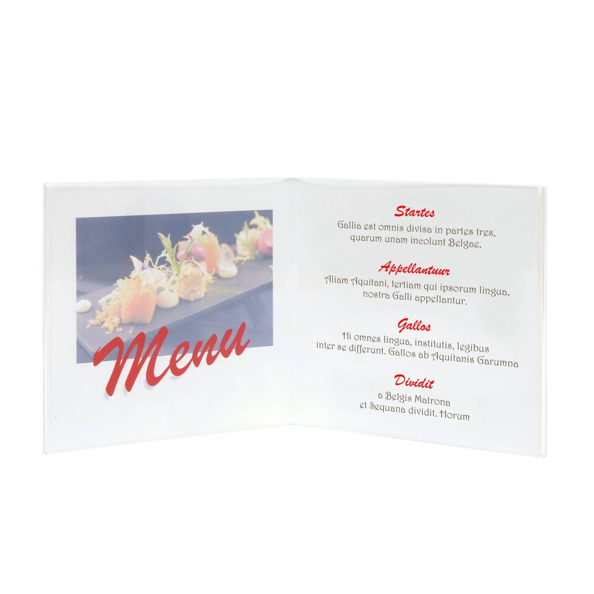 Deknudt S58RL2 H2V     2x5,5x8,6 plastica trasparente plexi