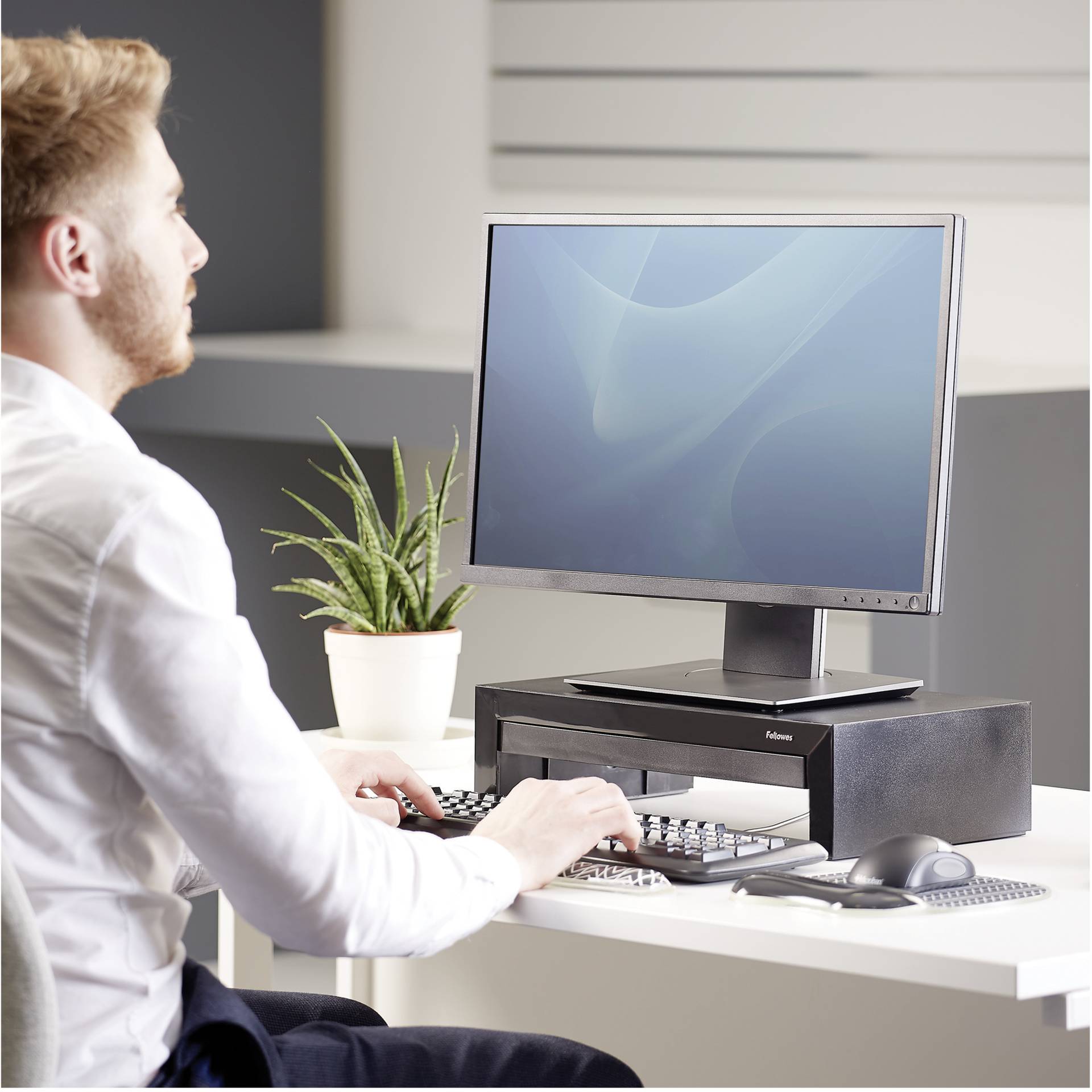 Fellowes Designer Suites supporto monitor