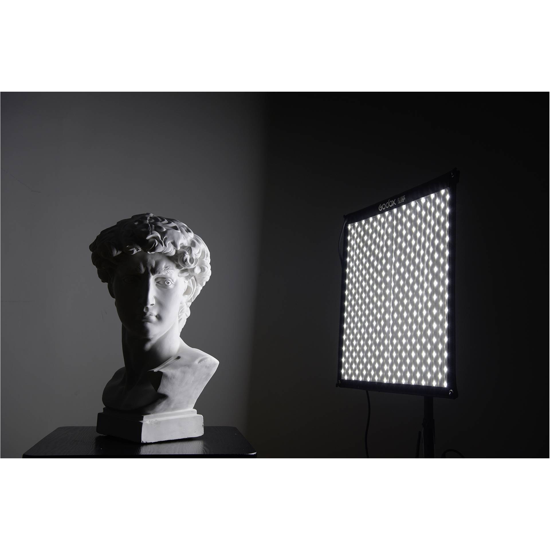 Godox FL100 Luce LED 40 x 60 cm