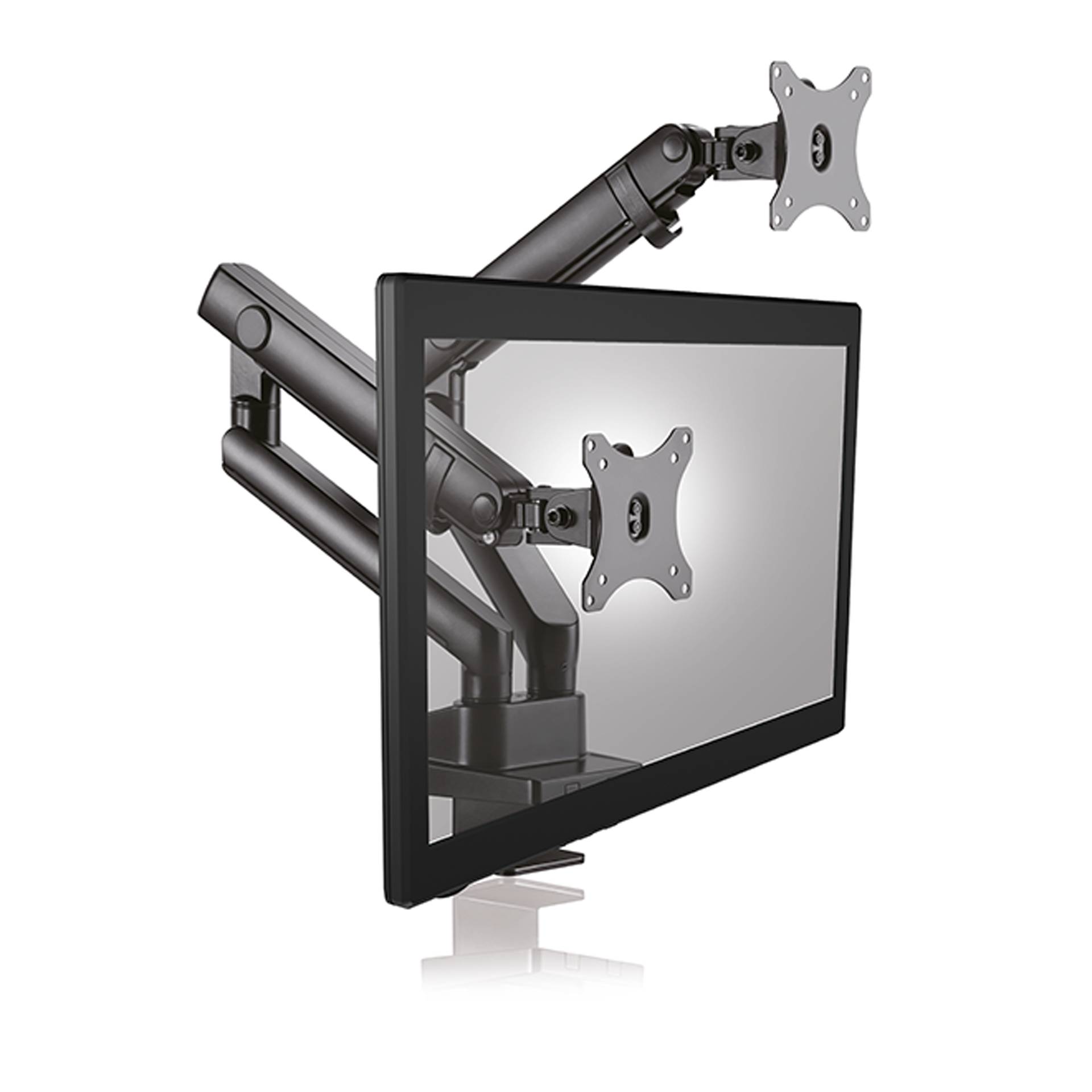 Raidsonic ICY BOX IB-MS314-T