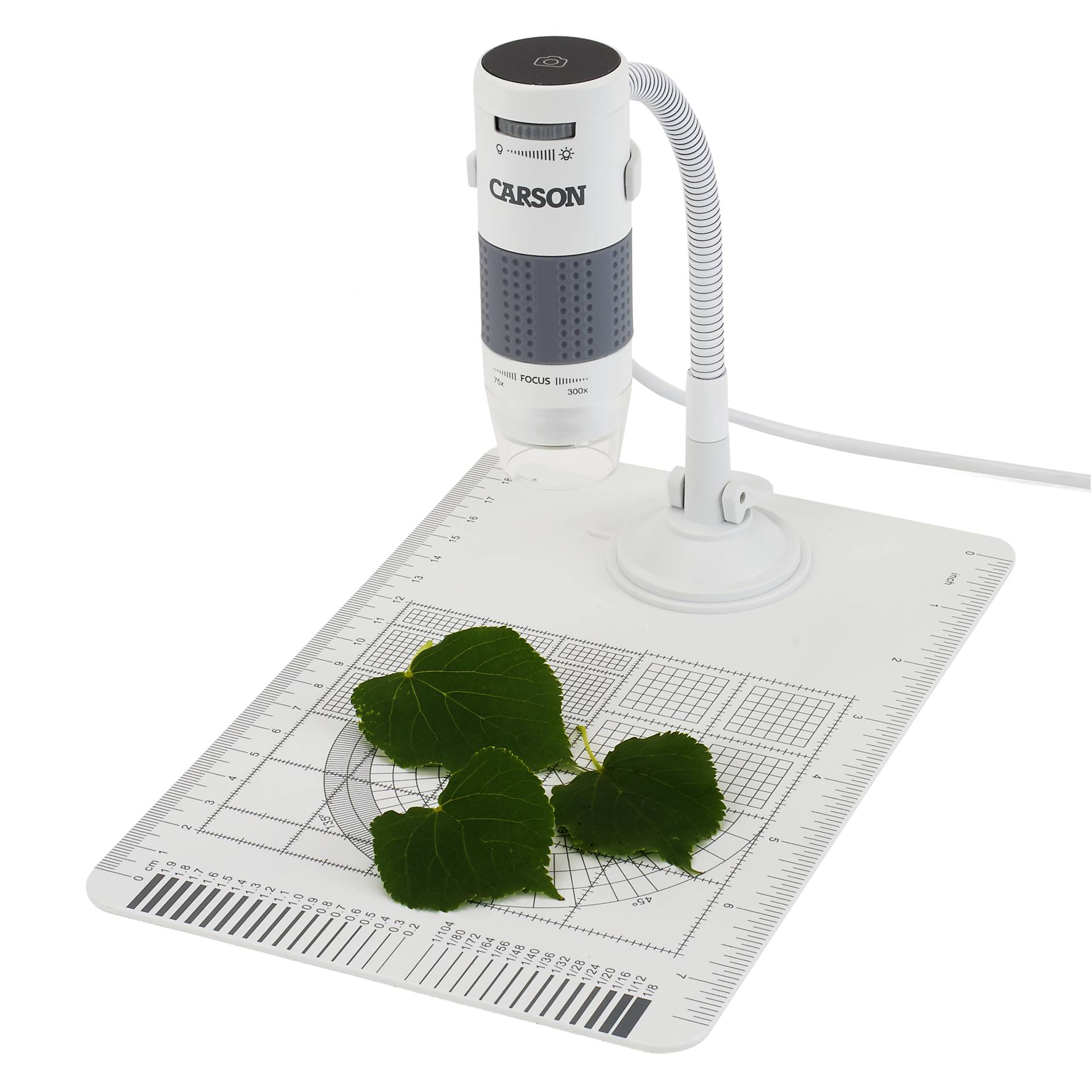 Carson eFlex Digital microscopio