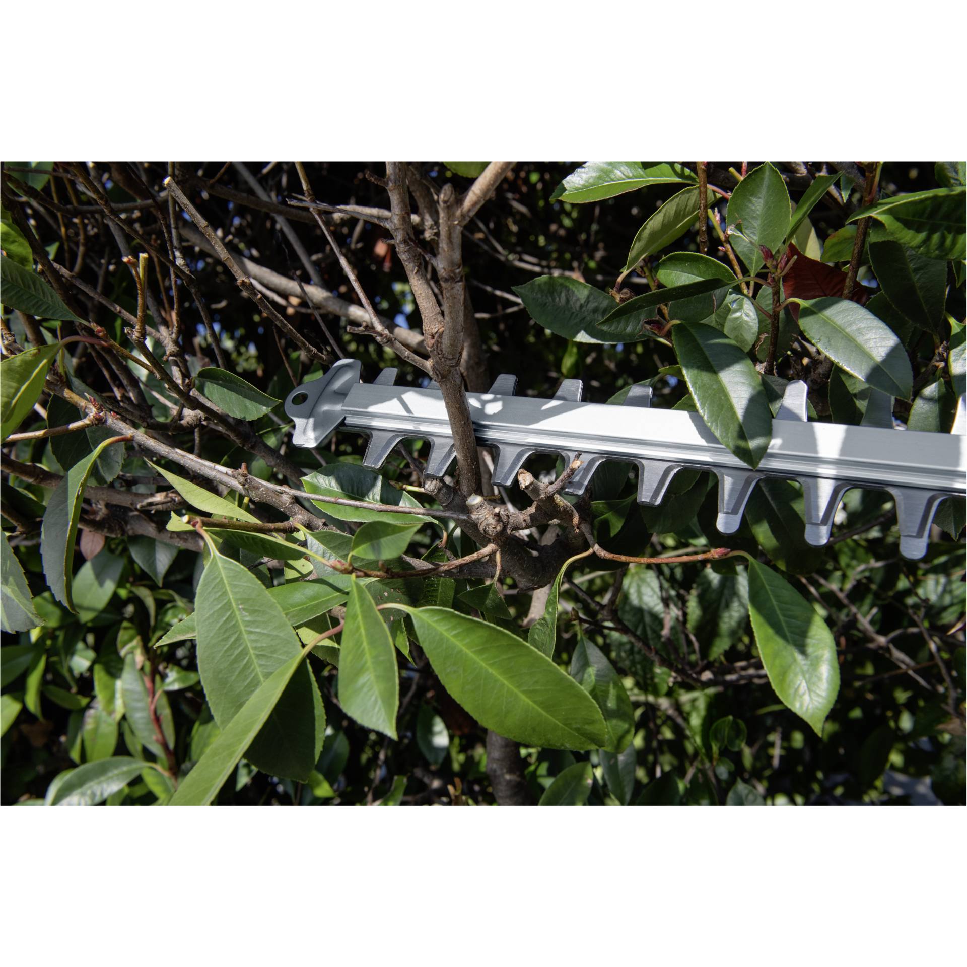 Kärcher HGE 18-50 Tagliasiepi a batteria