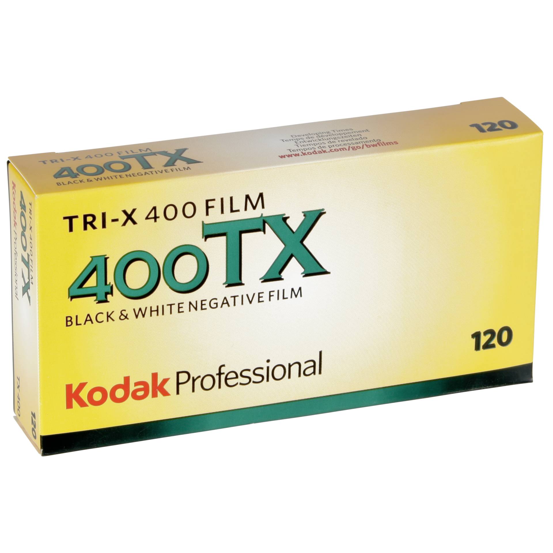 1x5 Kodak TRI-X 400       120