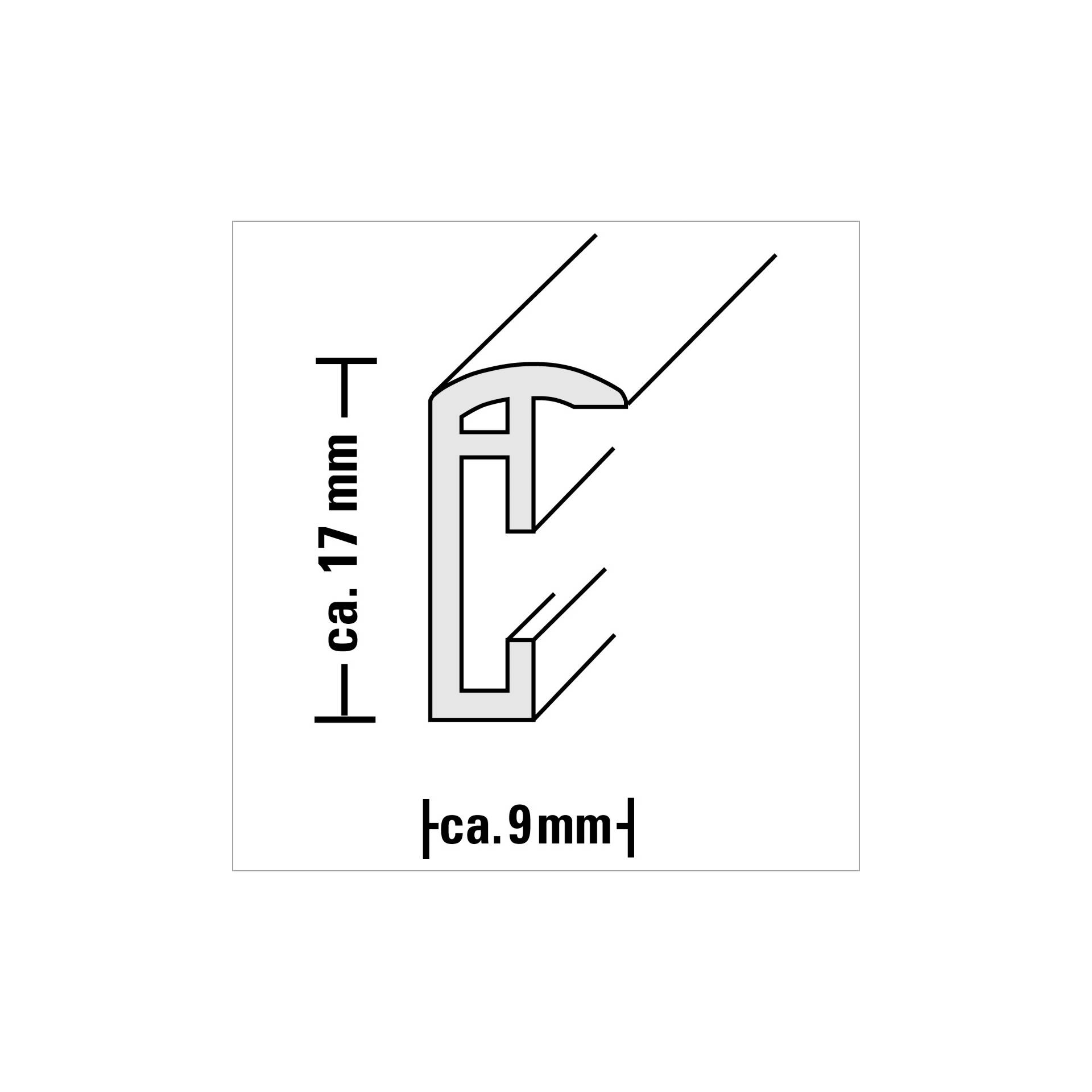 Hama Madrid argento        20x30 plastica