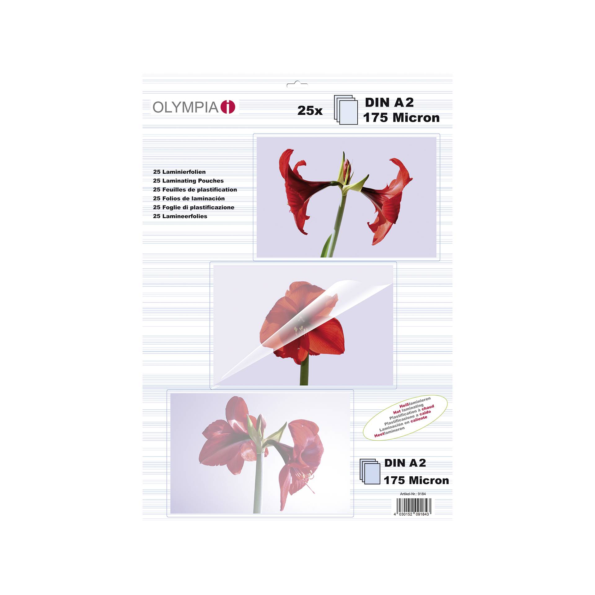 1x25 Olympia Buste di plastific. DIN A2 175 micron