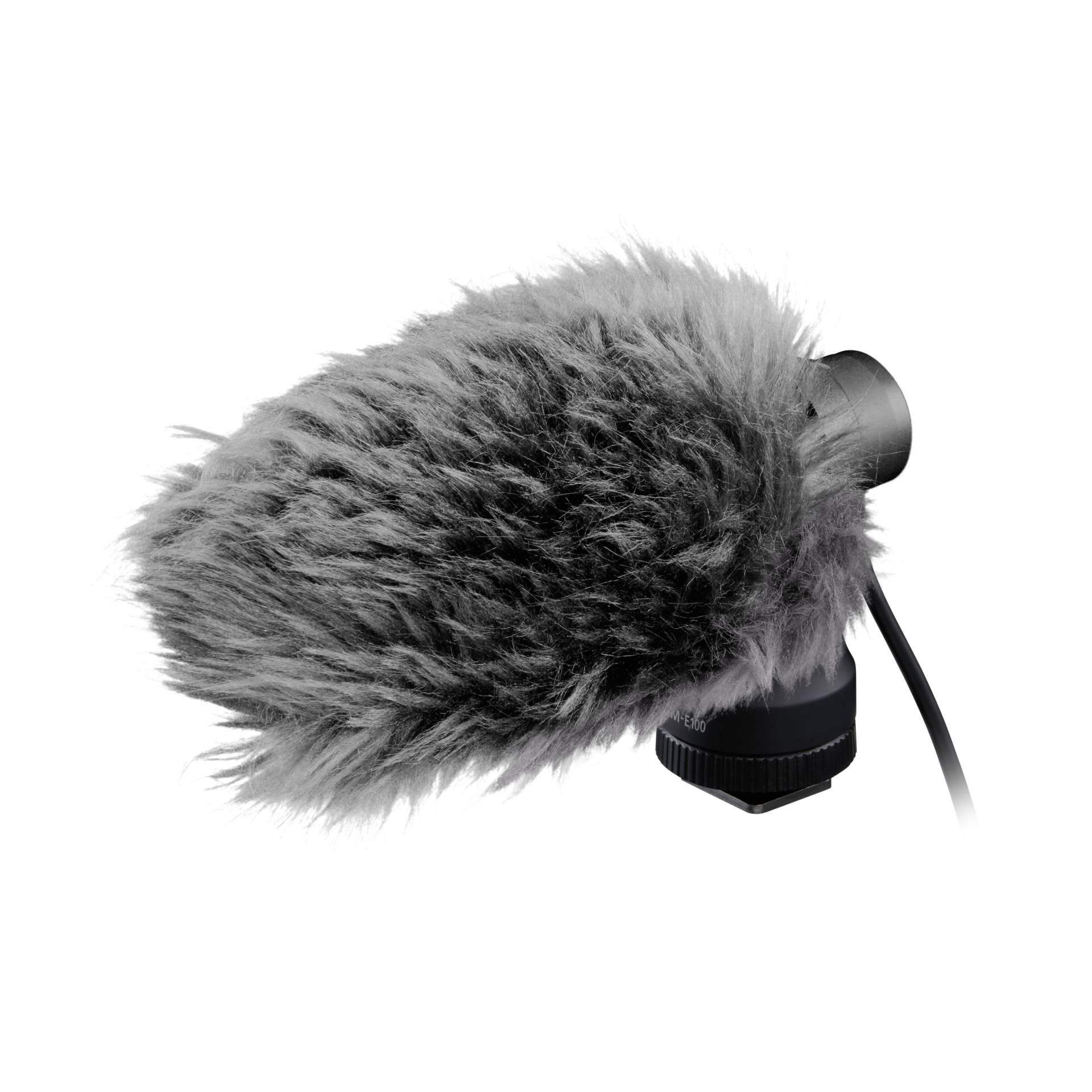 Canon DM-E100 microfono stereo