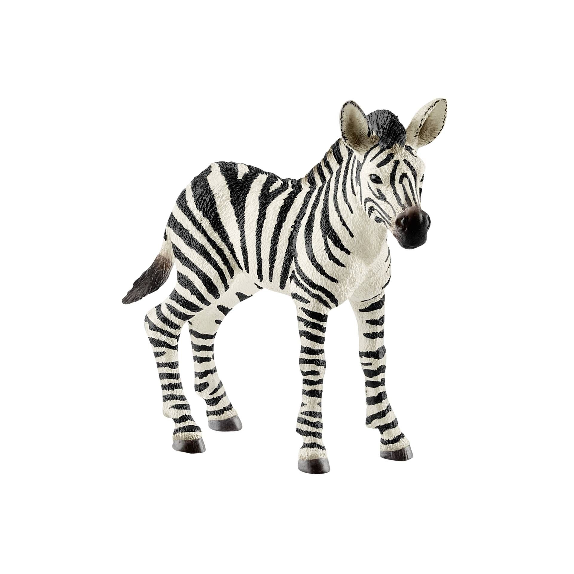 Schleich Wild Life         14811 Zebra puledro