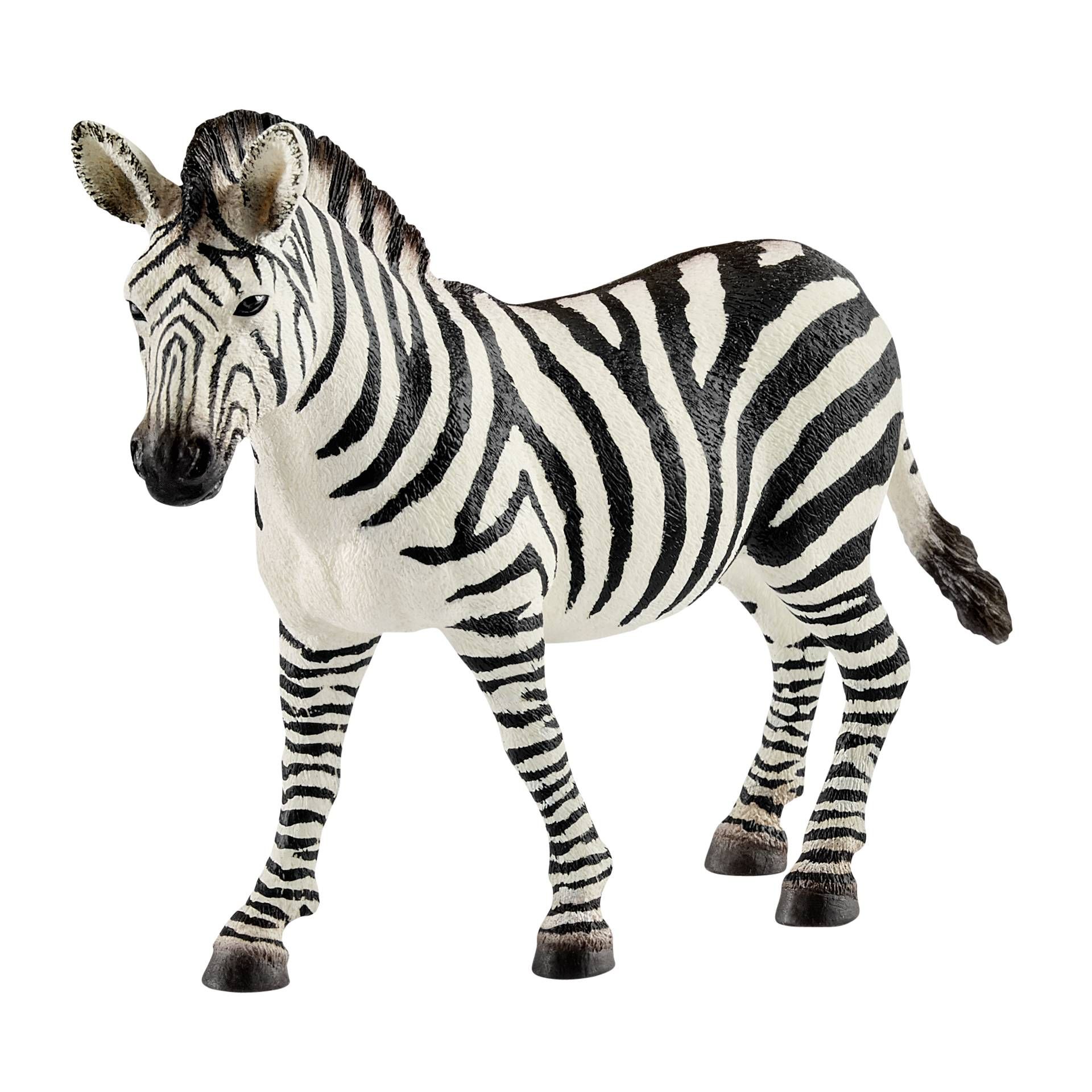 Schleich Wild Life         14810 Zebra cavalla