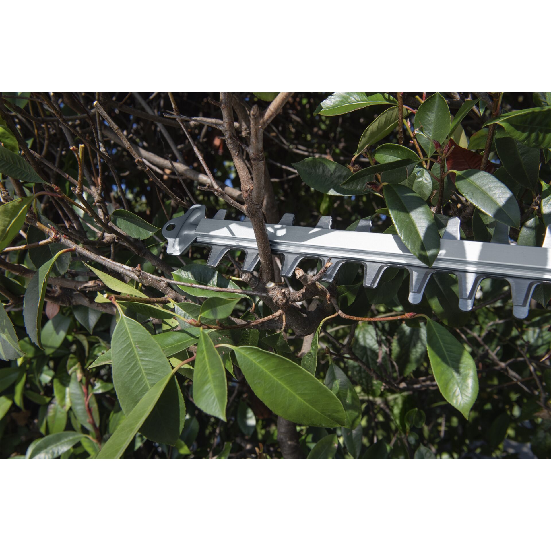 Kärcher HGE 18-50 Battery Tagliasiepi a batteria