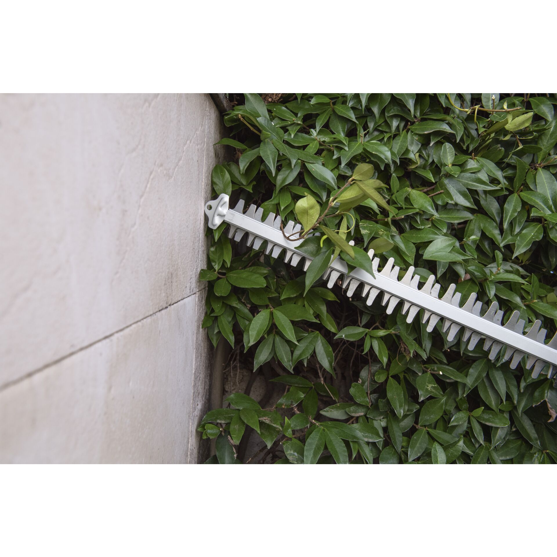 Kärcher HGE 18-50 Battery Tagliasiepi a batteria