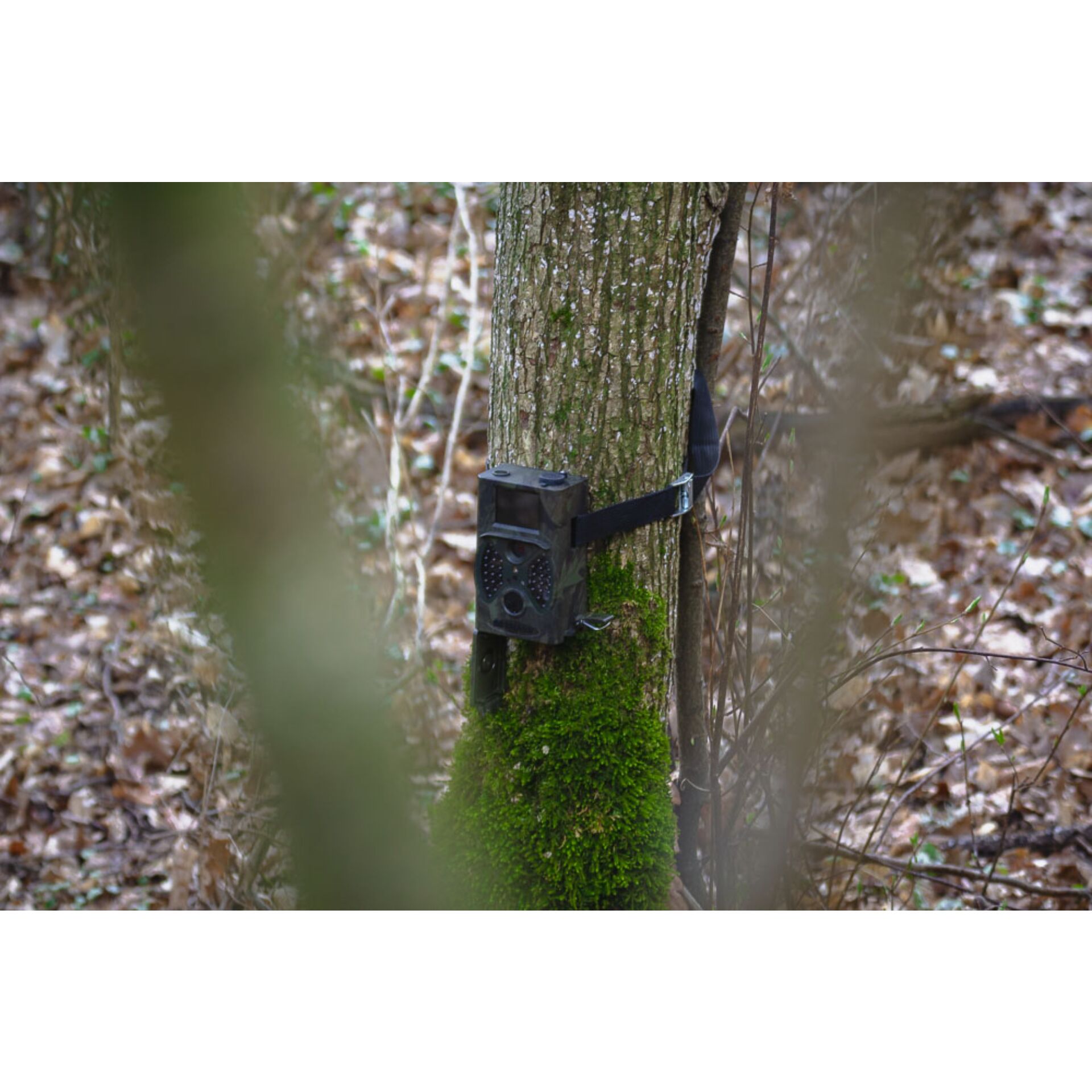 Braun Scouting Cam Black300