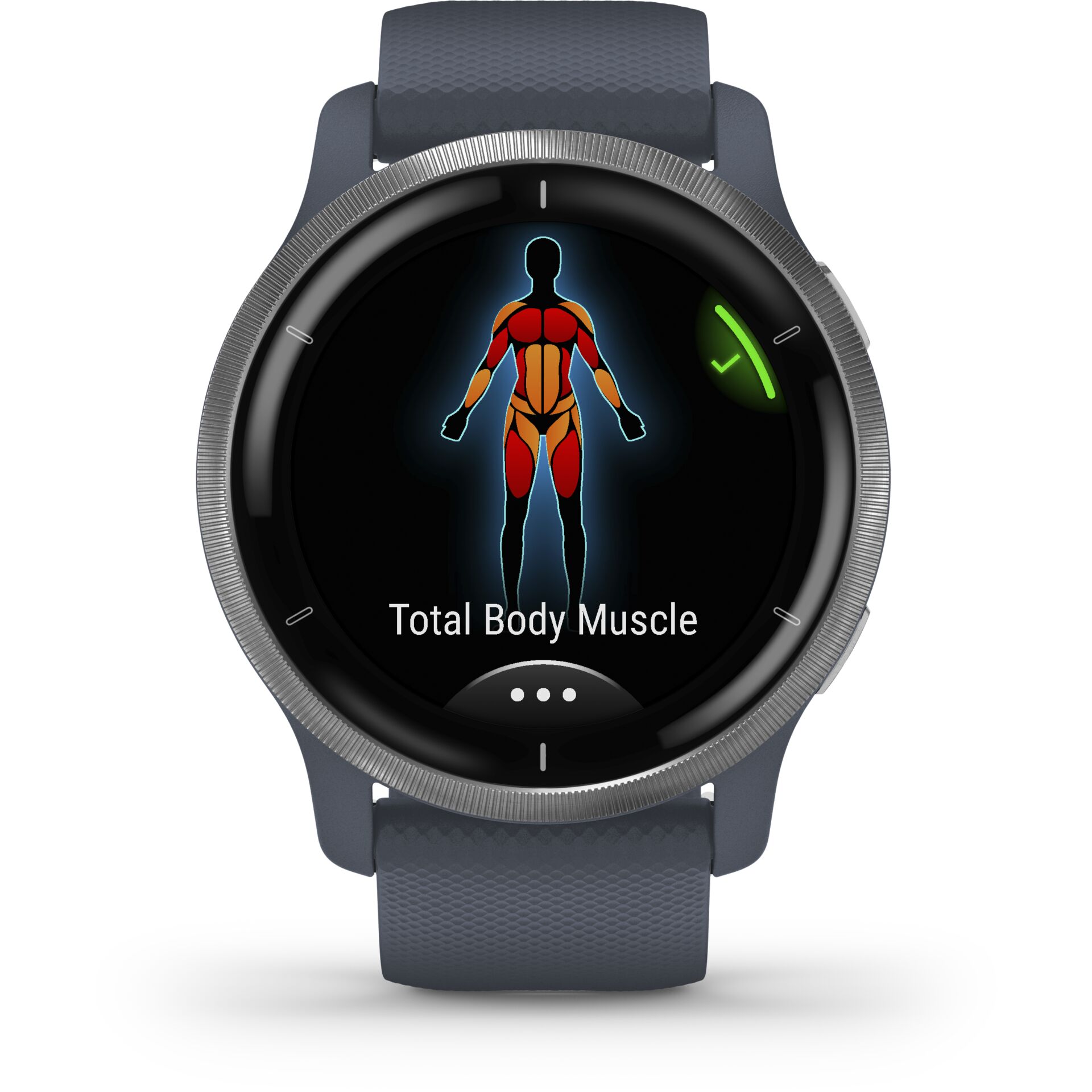 Garmin Venu 2 granito blu/argento