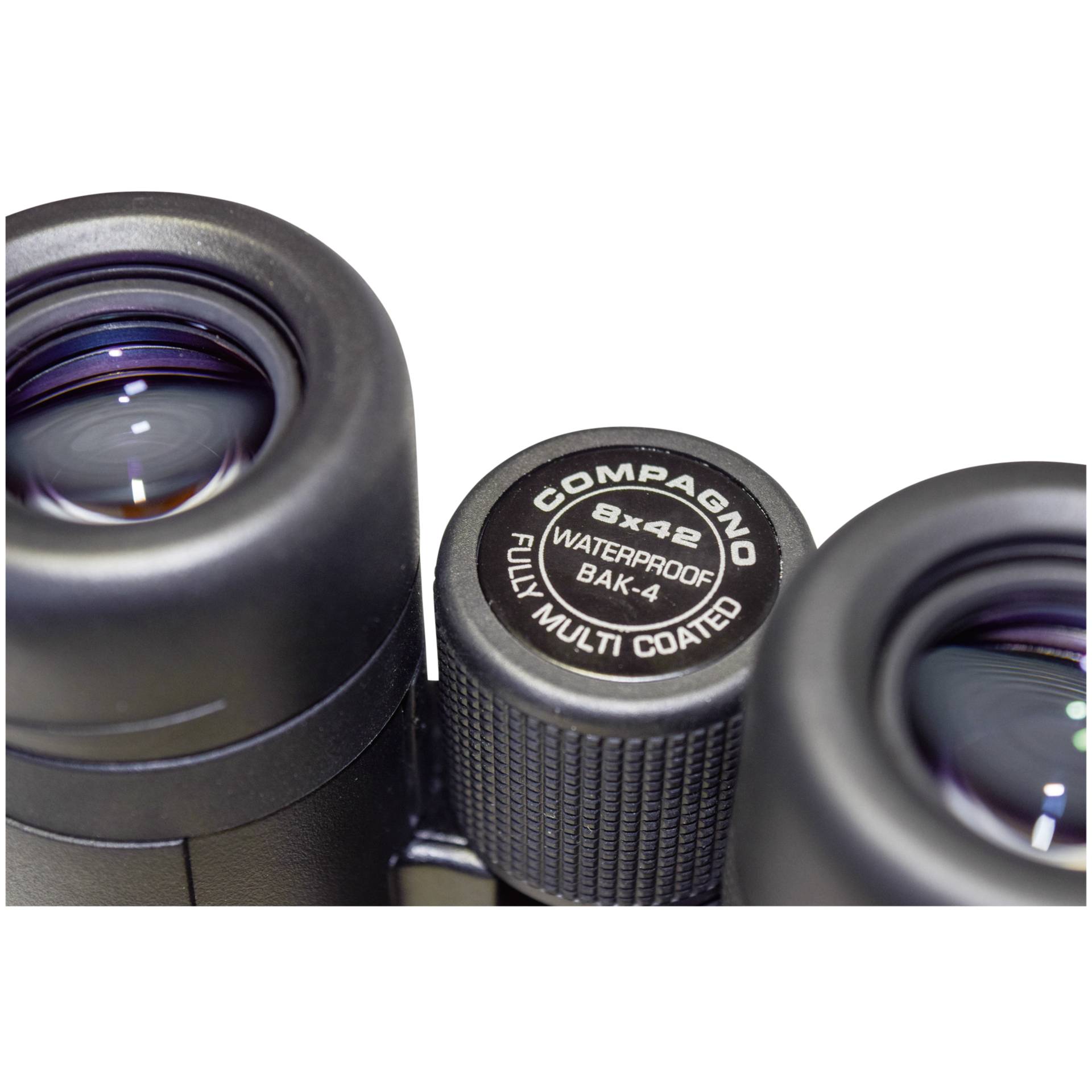 Braun Compagno 8x42 WP