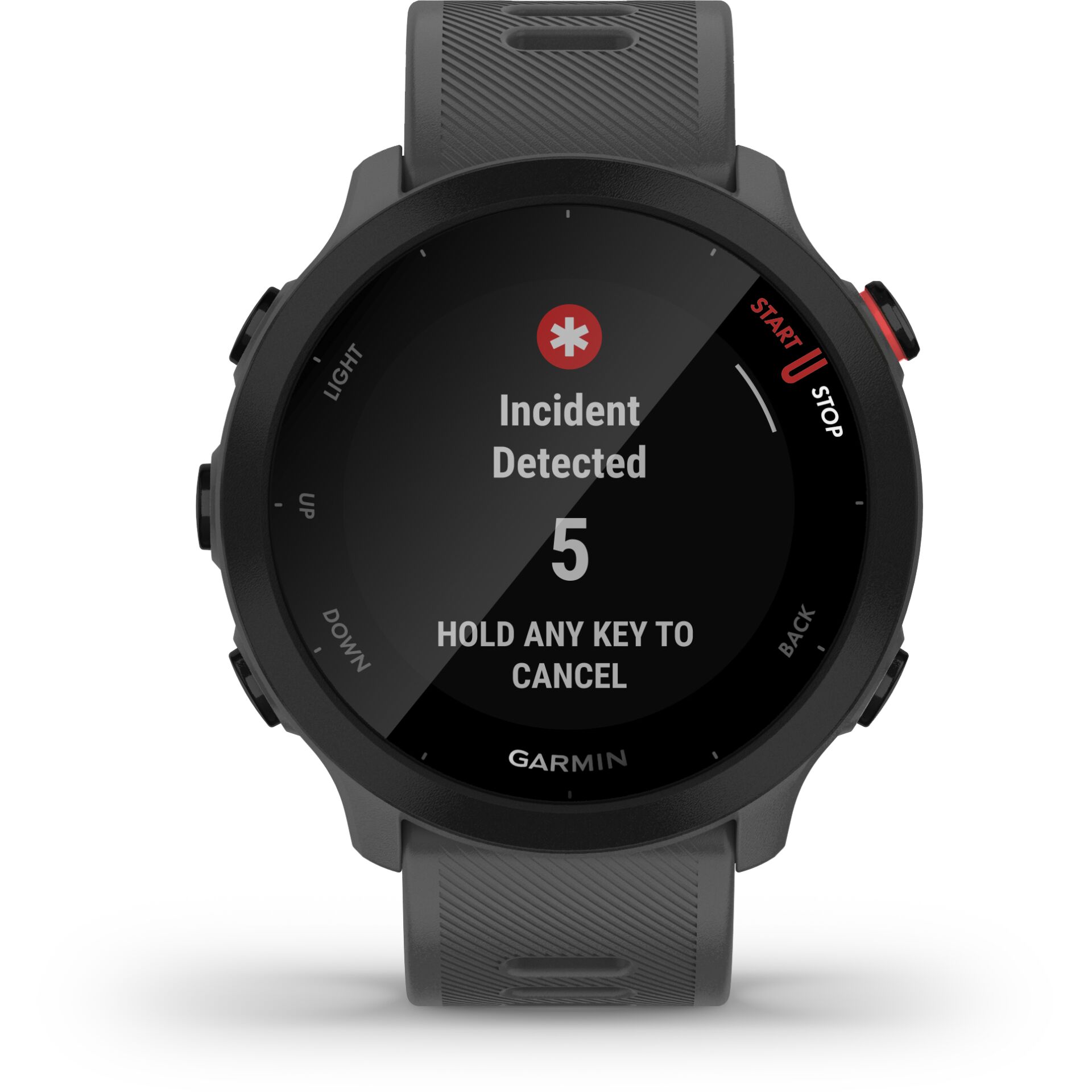 Garmin Forerunner 55 grigio