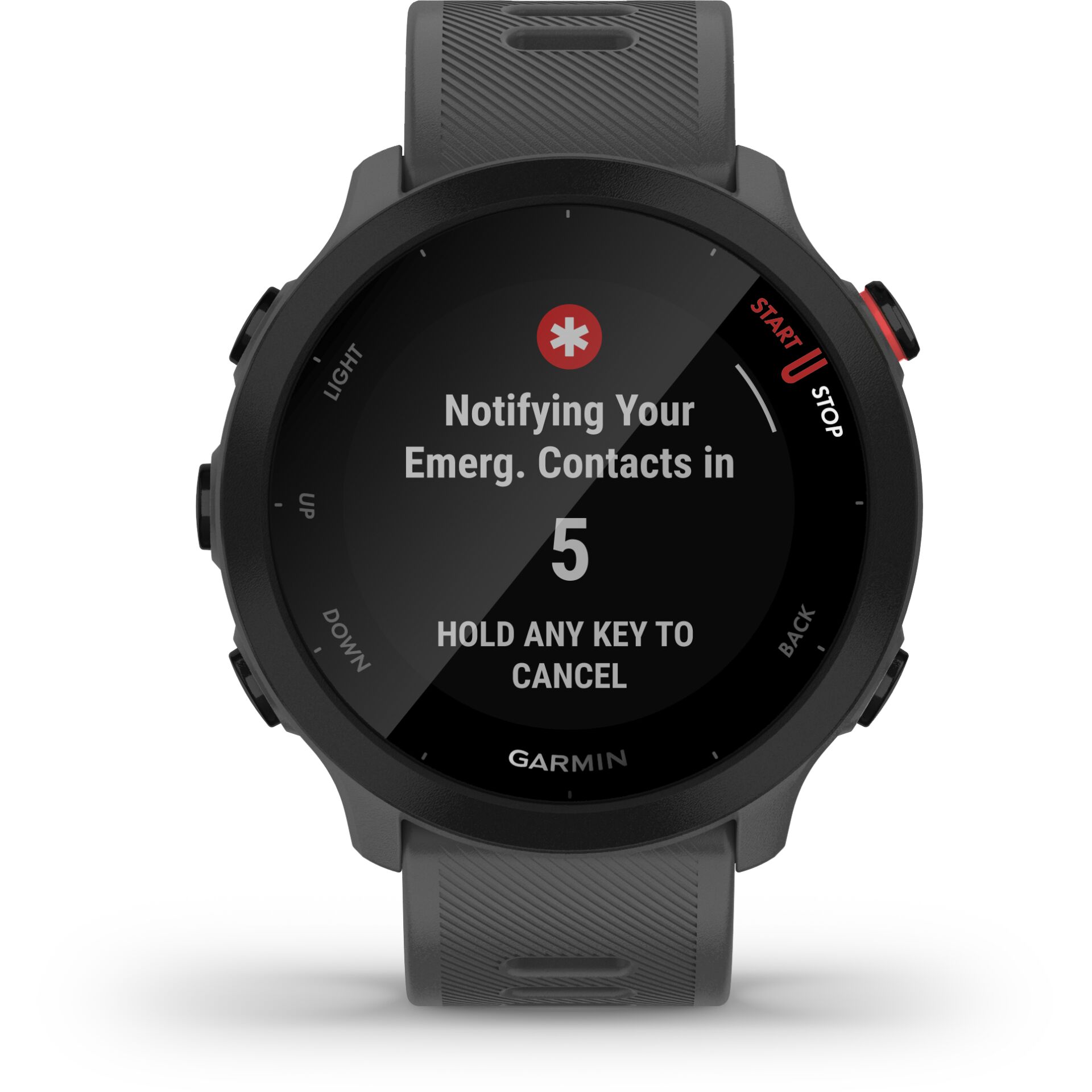 Garmin Forerunner 55 grigio