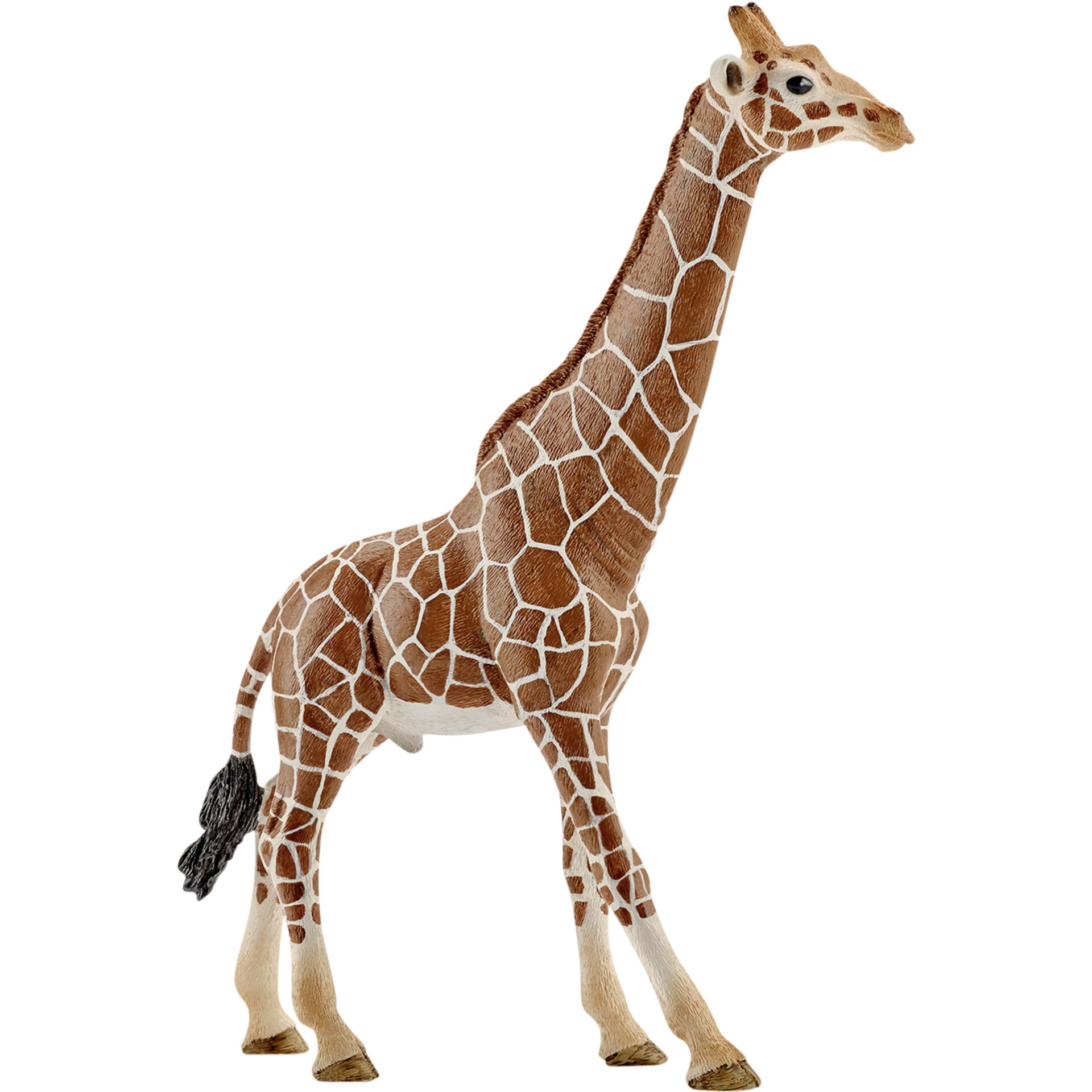 Schleich Wild Life Giraffa maschio