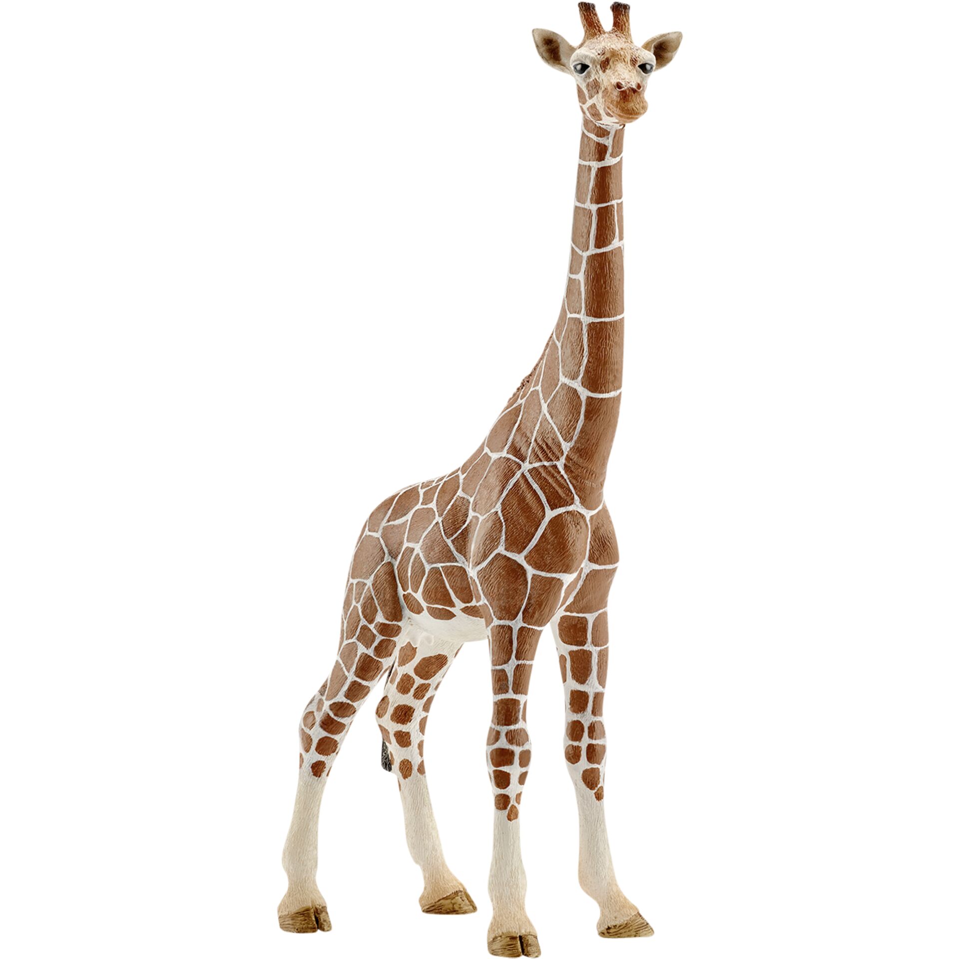 Schleich Wild Life Giraffa femmina