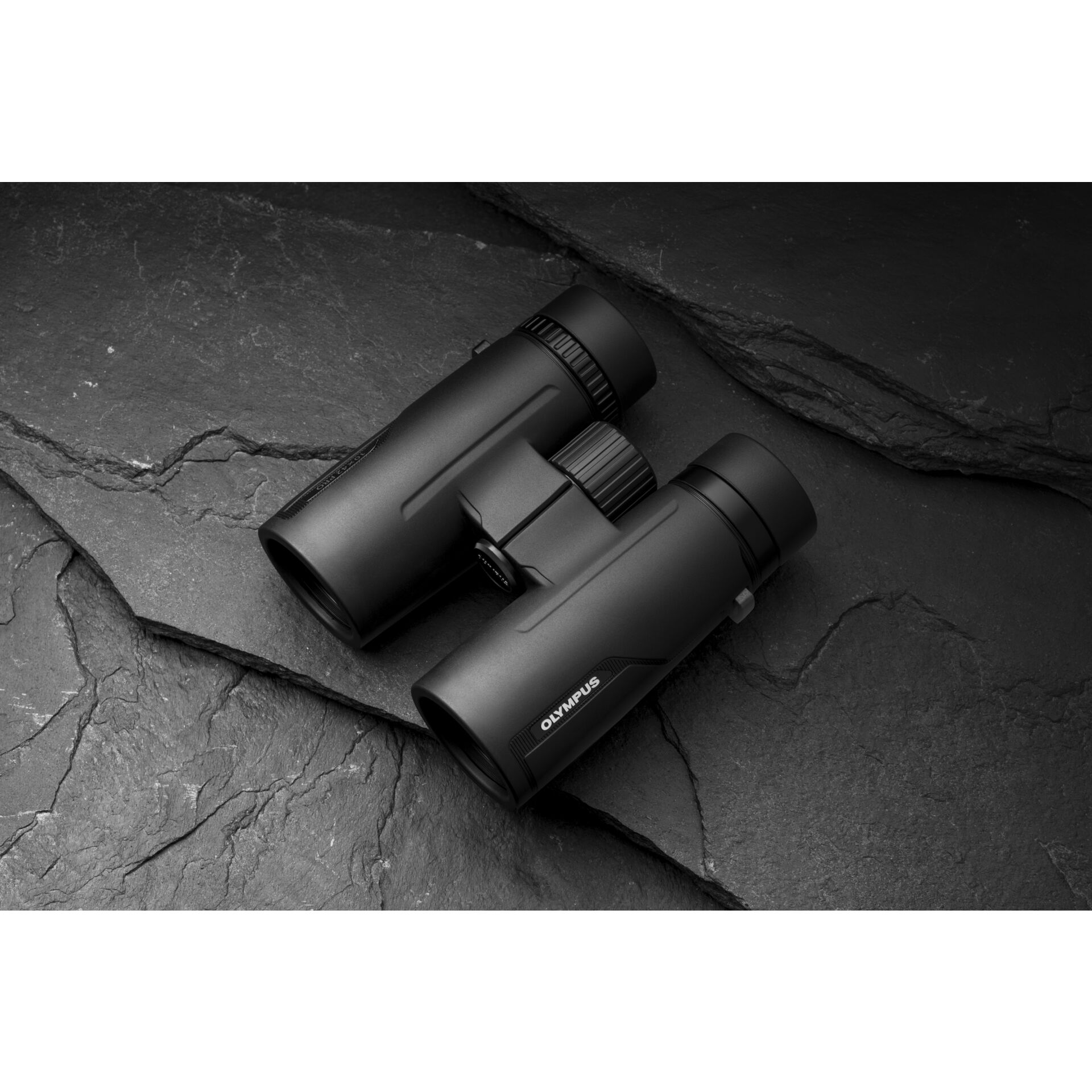 Olympus  8x42 Pro