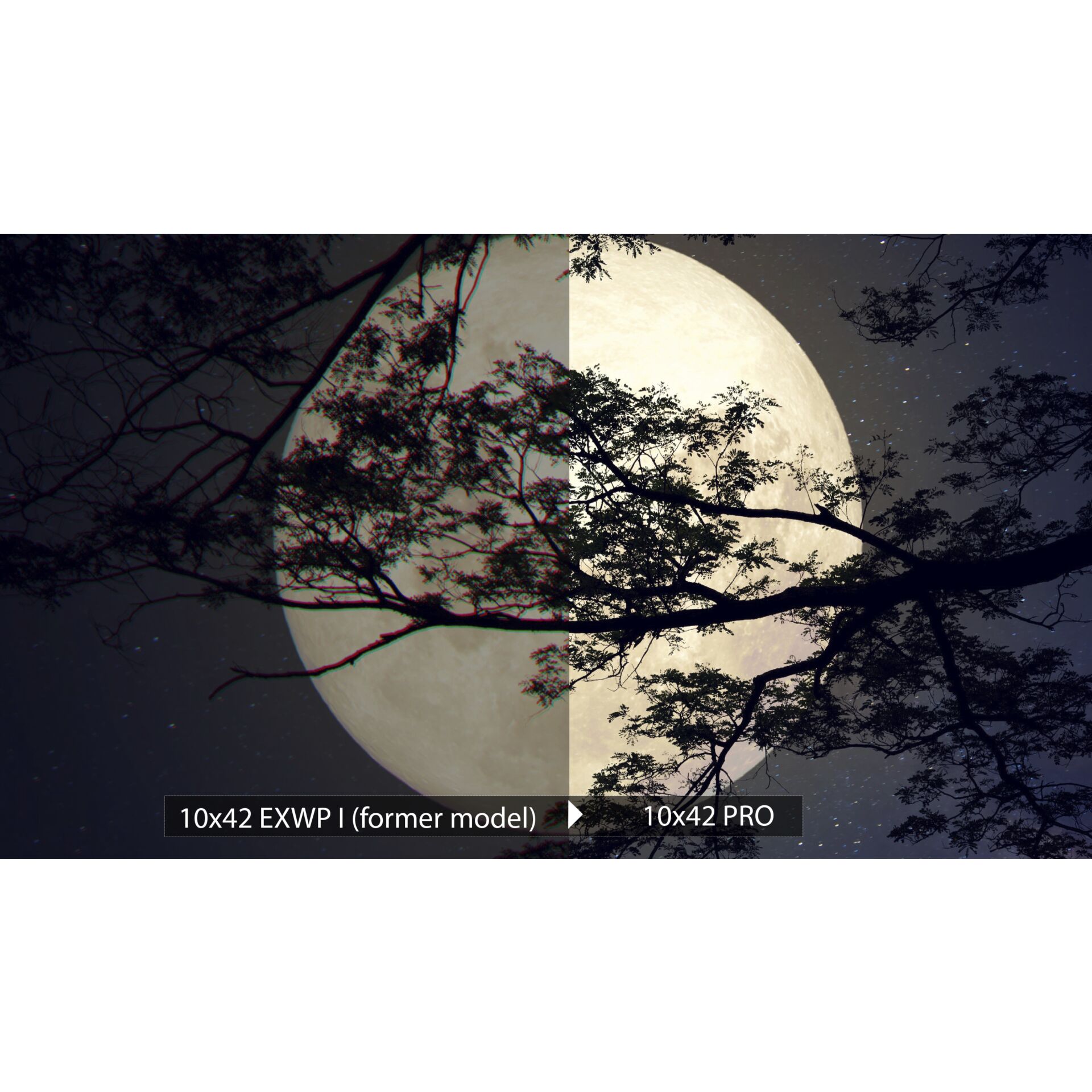 Olympus 10x42 Pro