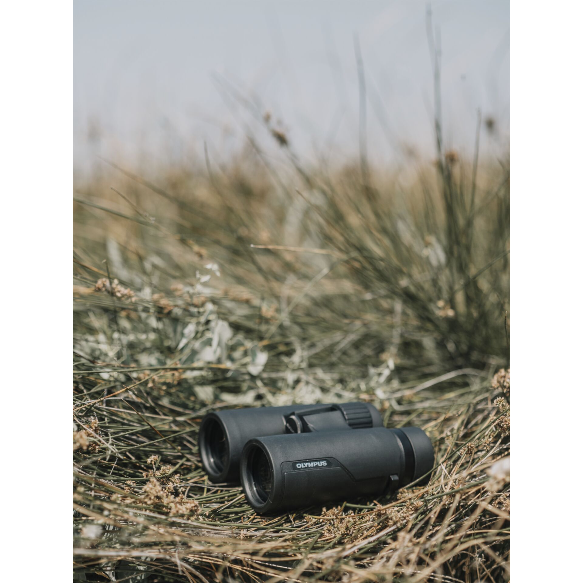 Olympus 10x42 Pro