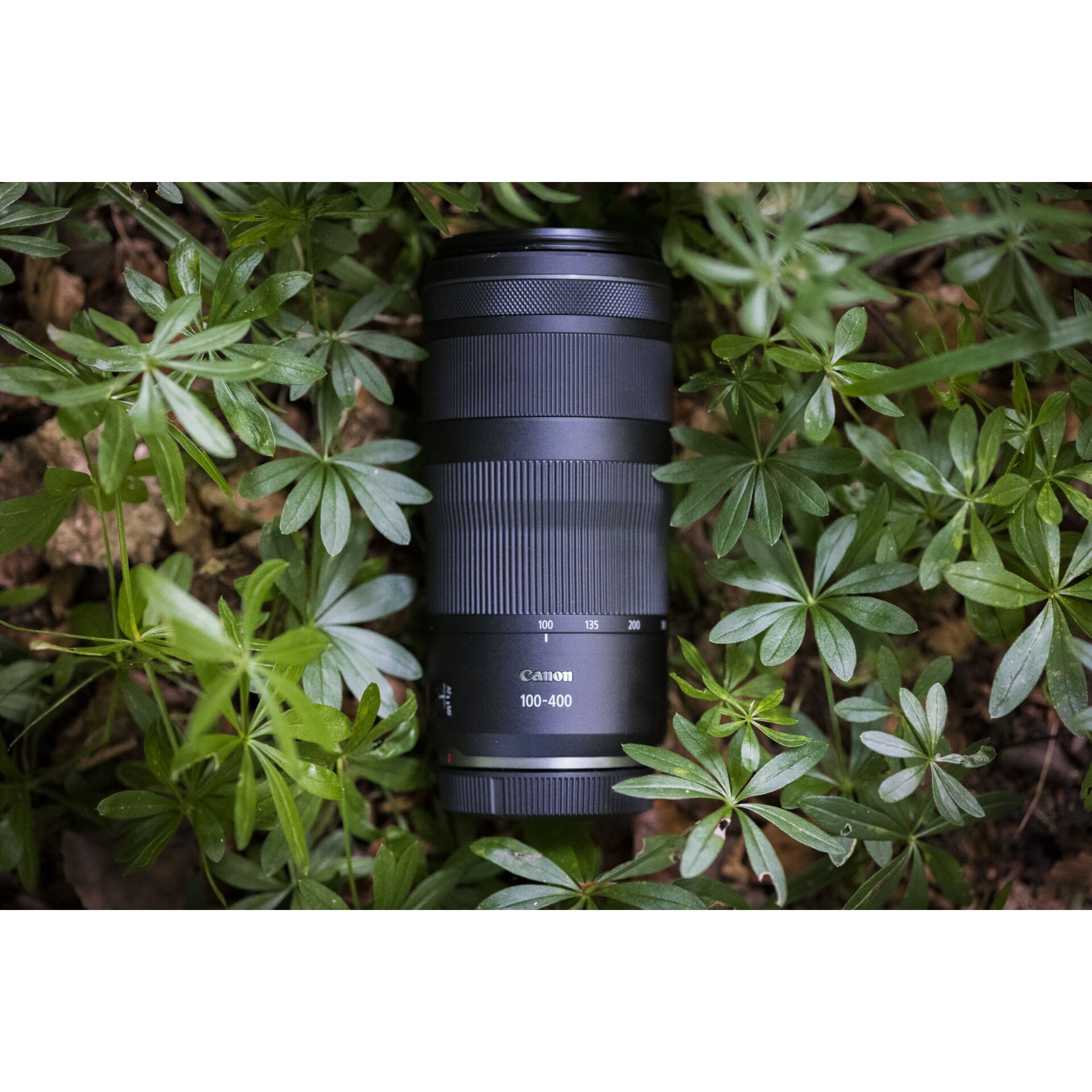 Canon RF 5,6-8/100-400 IS USM