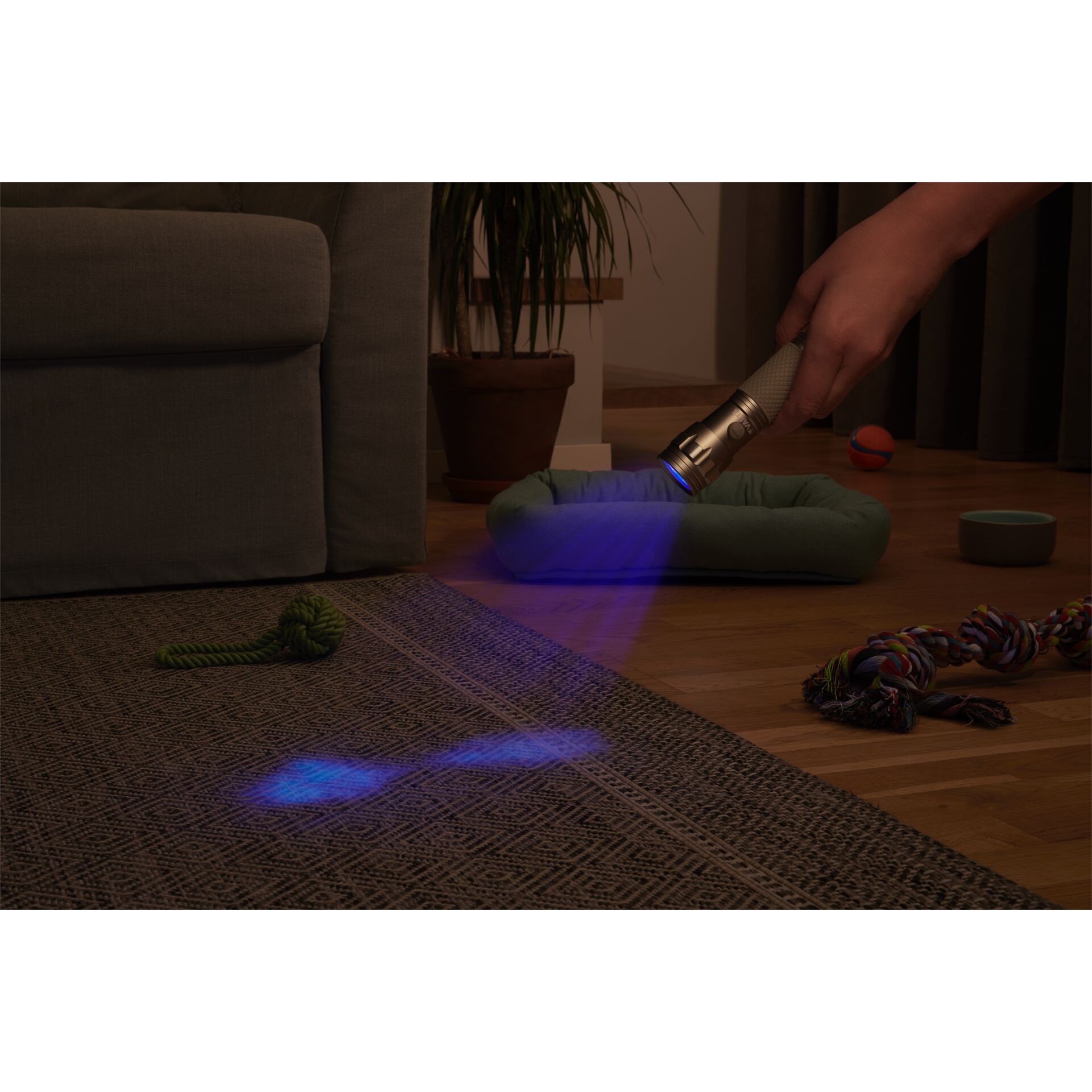 Varta UV-Light with 3xAAA Batteries 15638101421