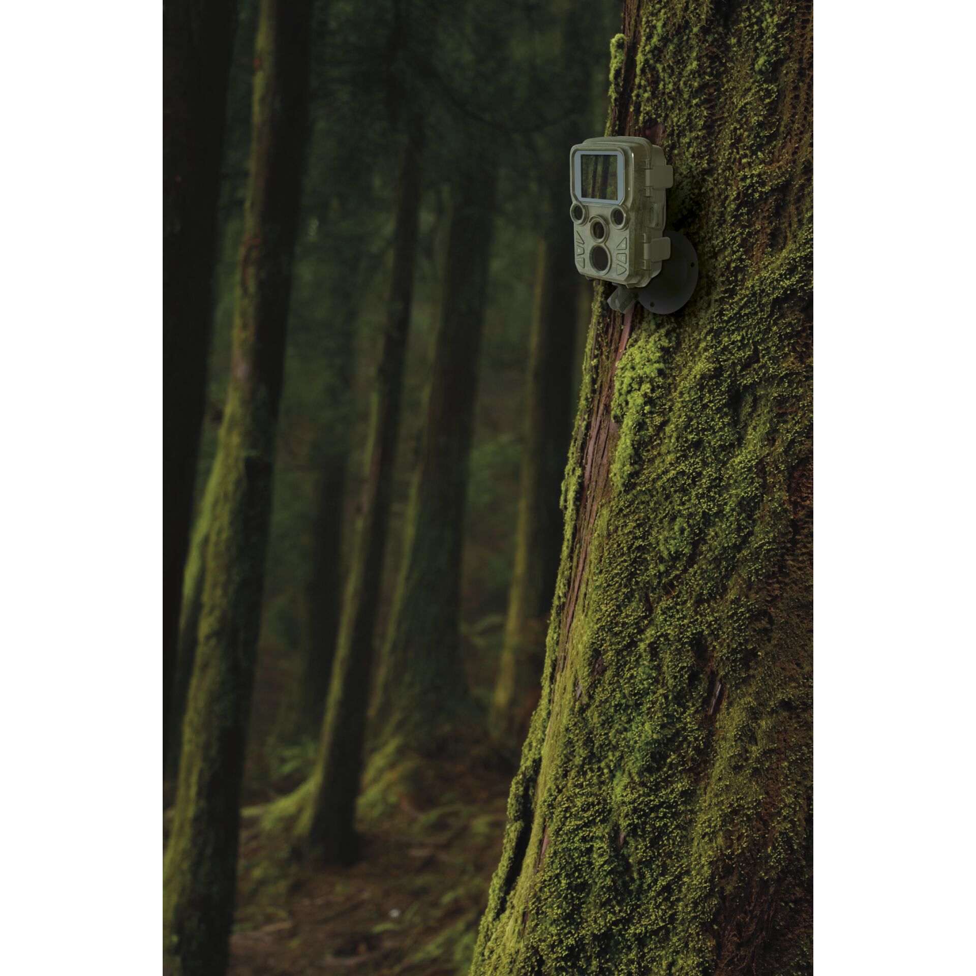 Braun Scouting Cam Black800 mini