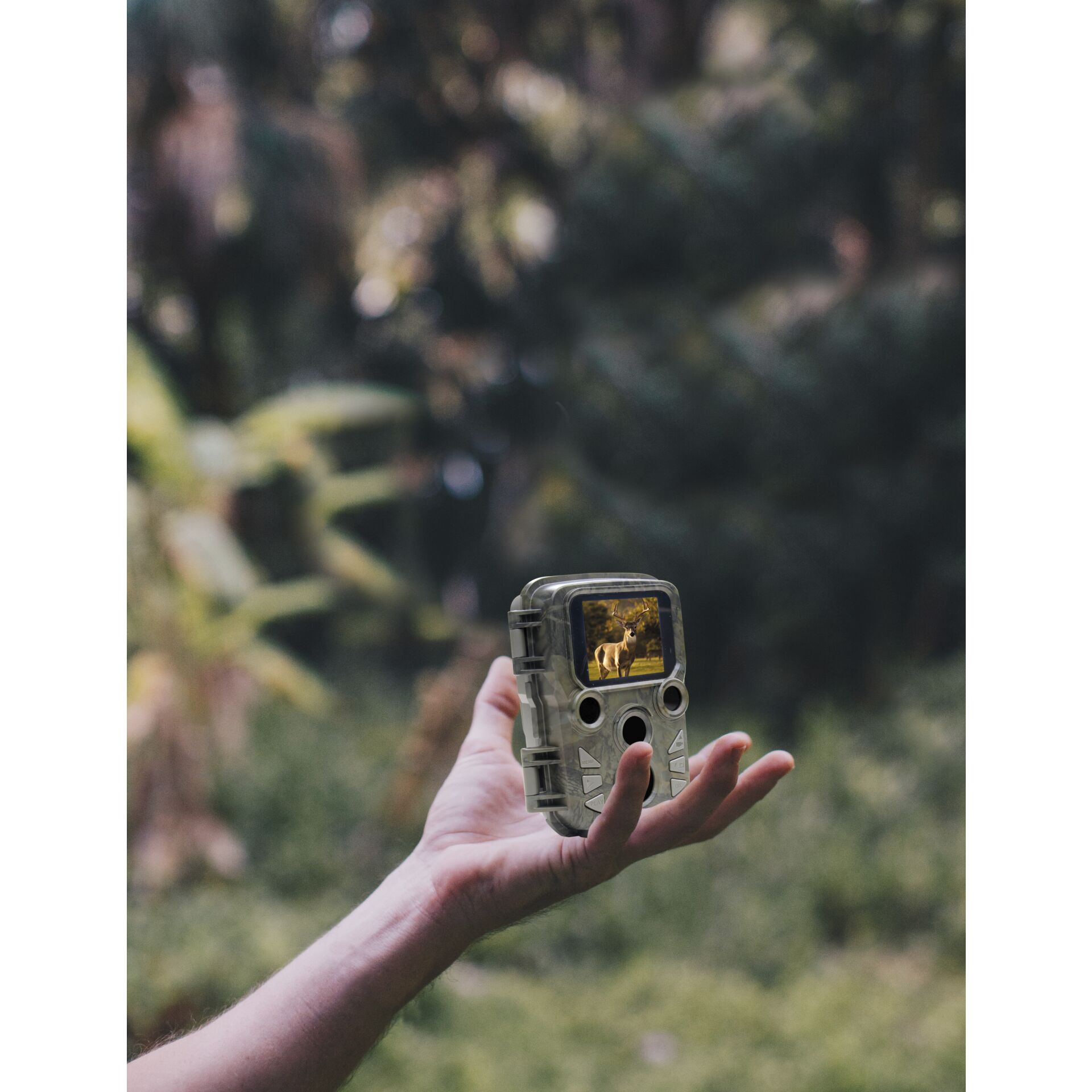 Braun Scouting Cam Black800 mini