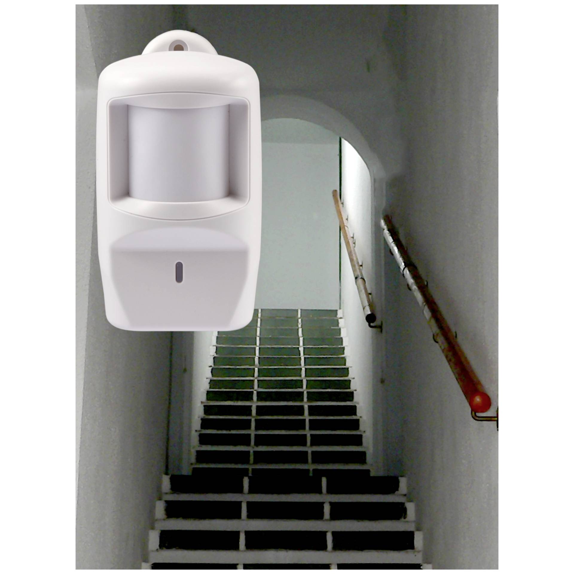 Olympia sensore di movimento 1 pezzo (nuovo Design)