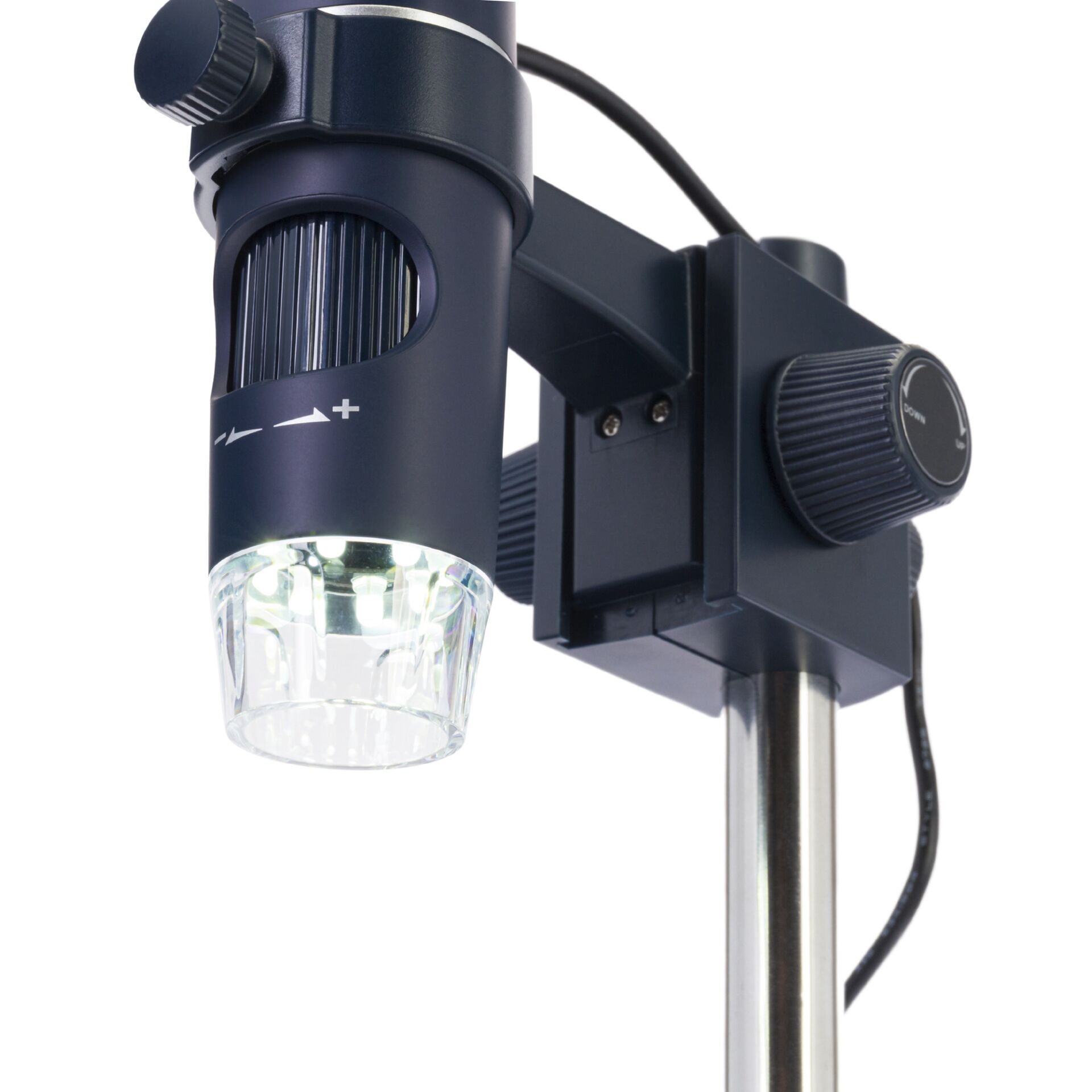 Discovery Artisan 32 microscopio digitale