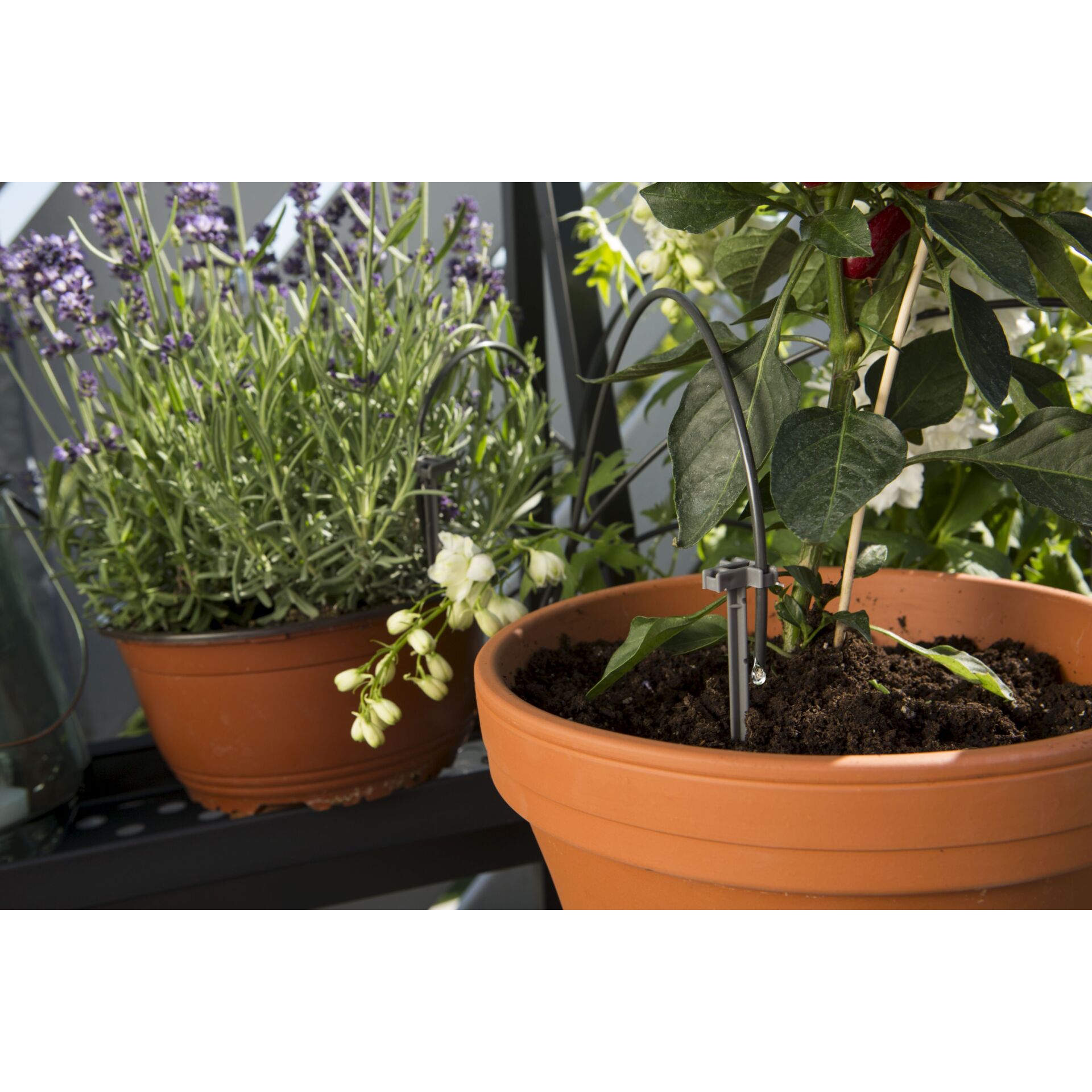 Gardena Holiday Watering Set