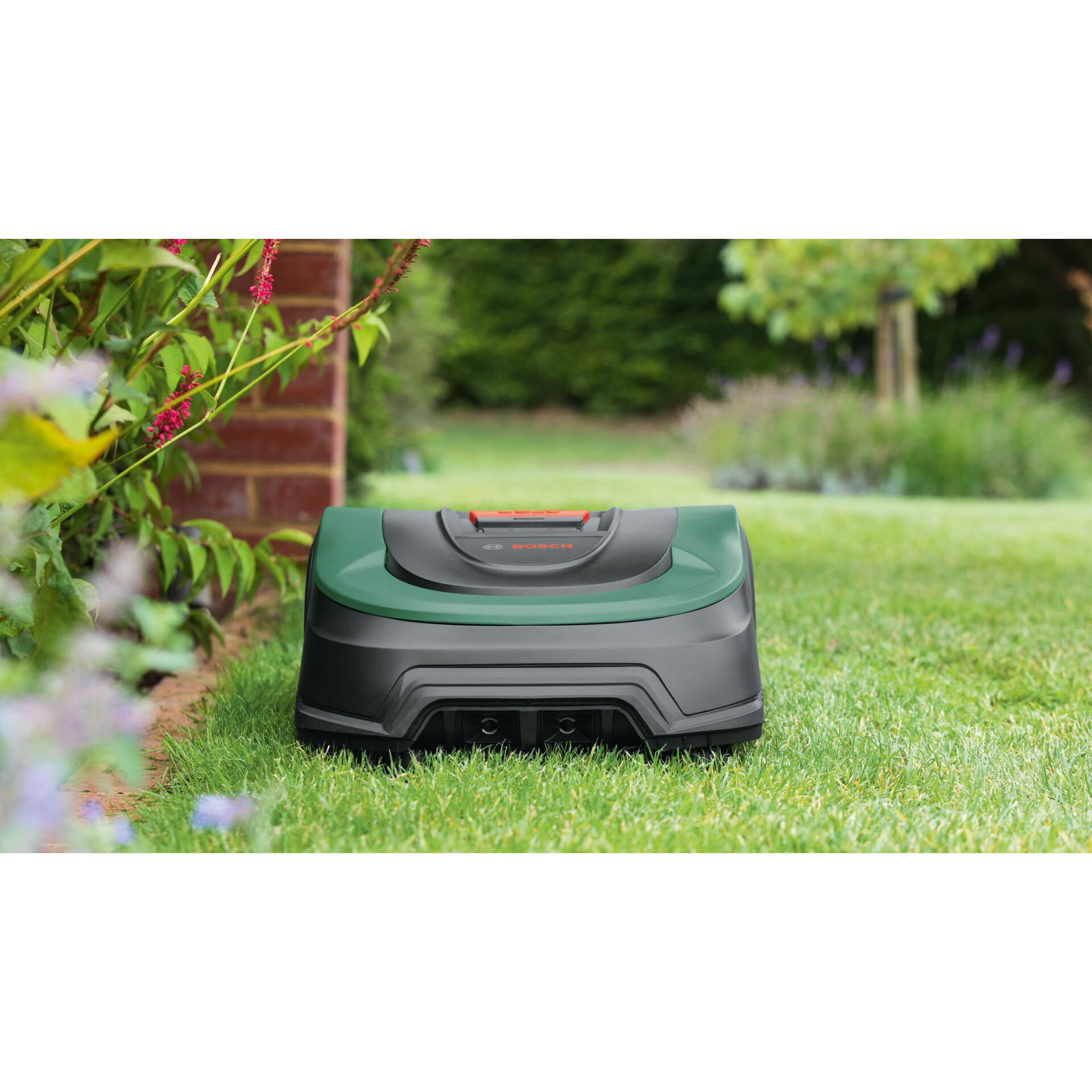 Bosch Indego XS 300 robot rasaerba