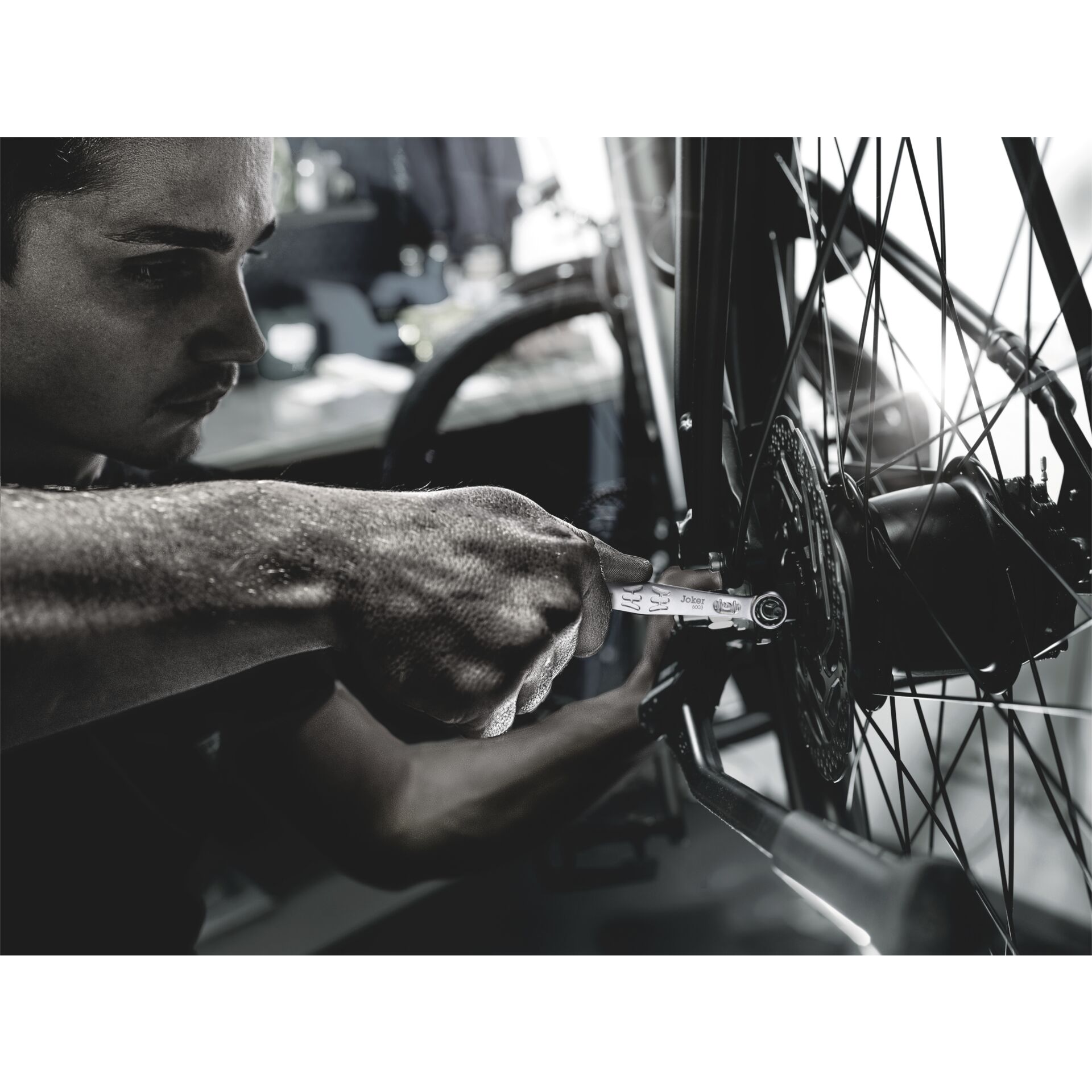 Wera Bicycle Set 12