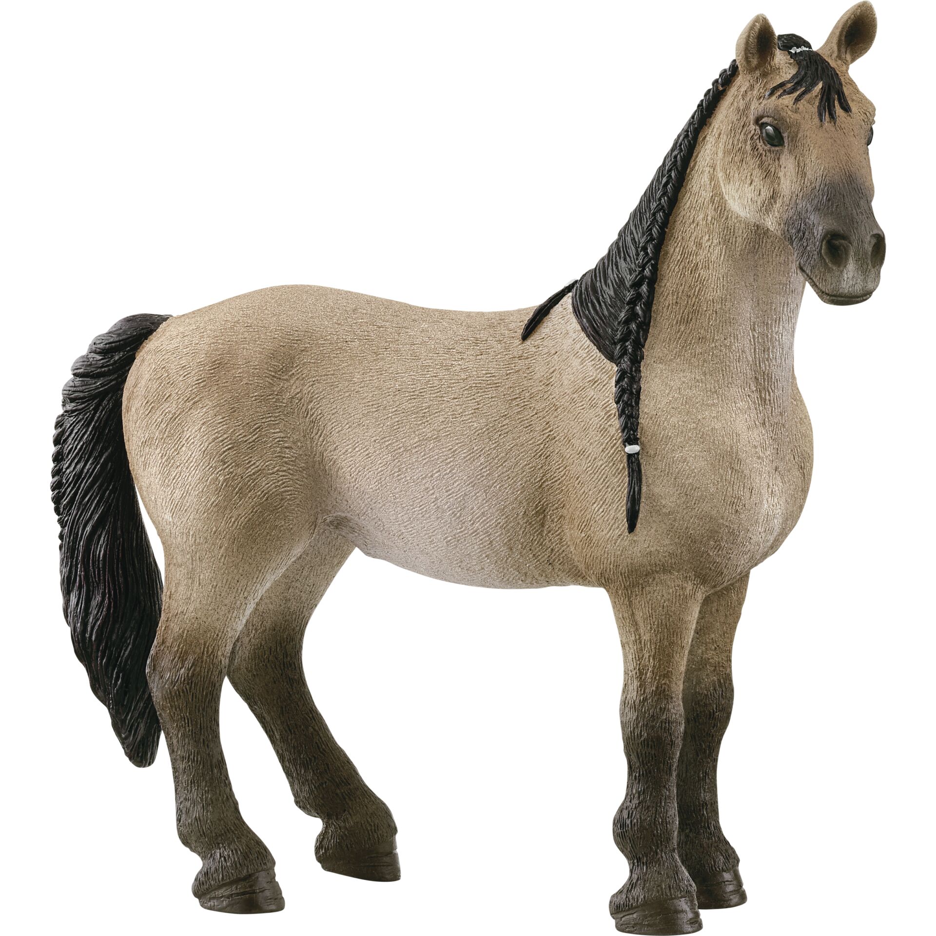 Schleich Horse Club     13948 Criollo Definitivo Stute