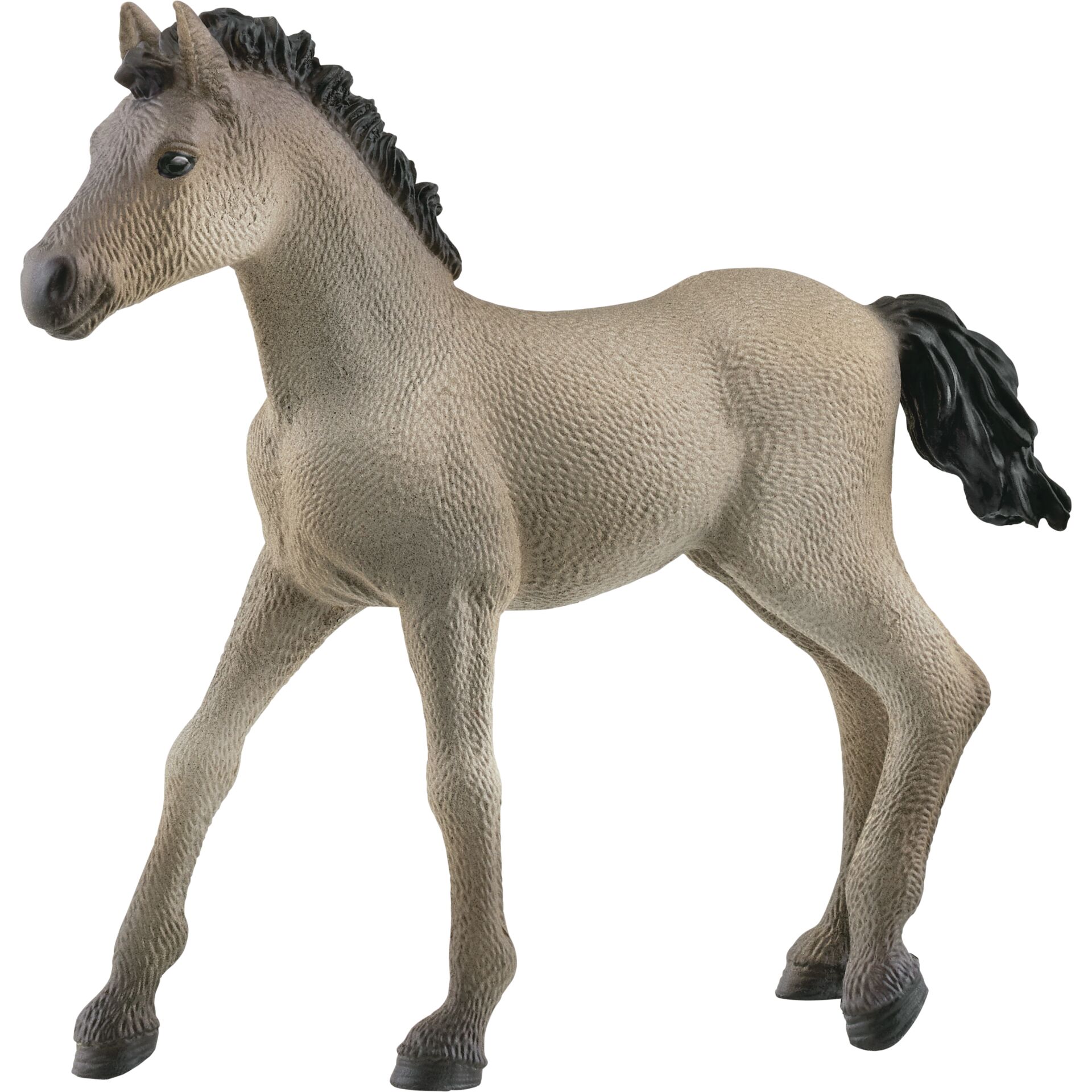 Schleich Horse Club     13949 Criollo Definitivo Fohlen