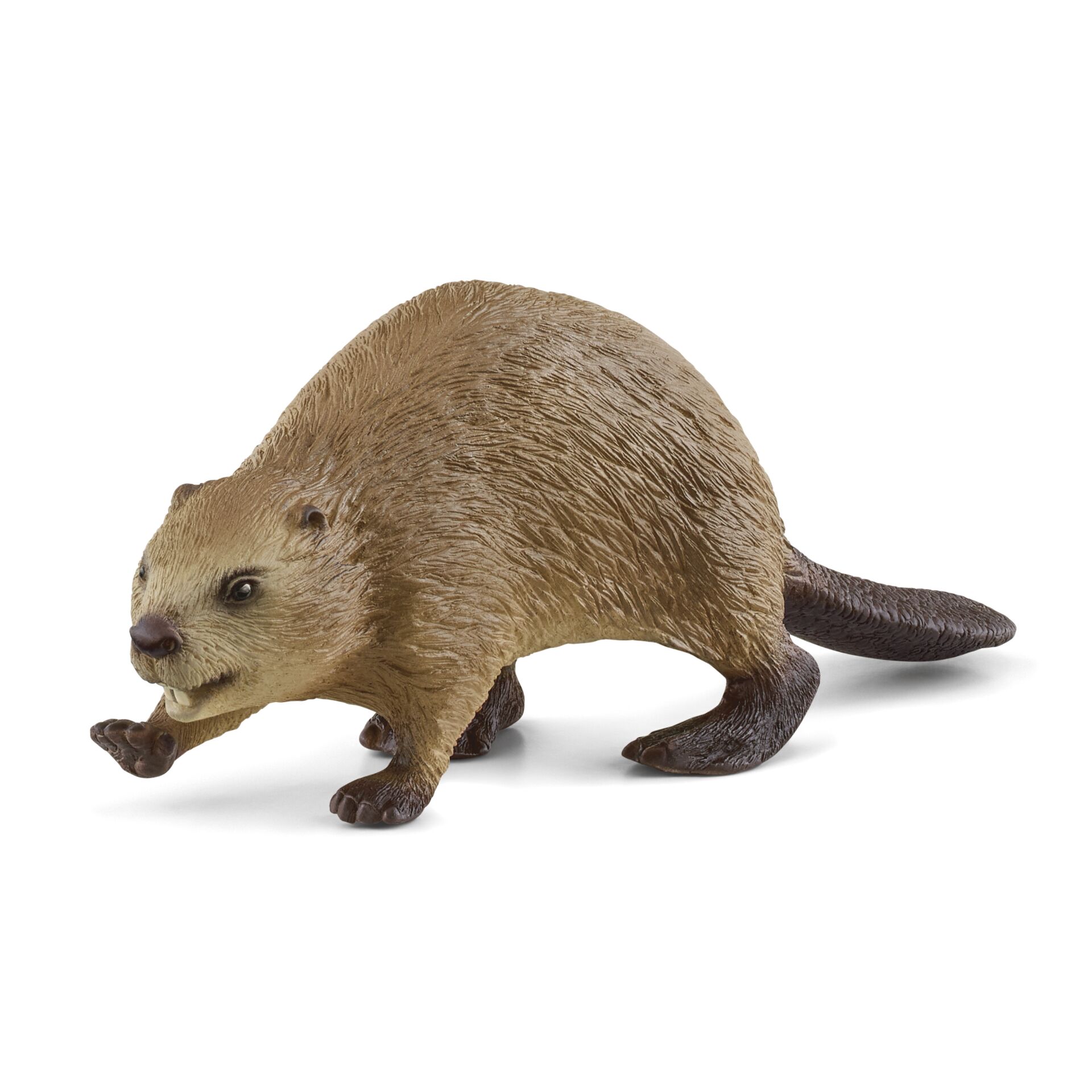 Schleich Wild Life      14855 Biber