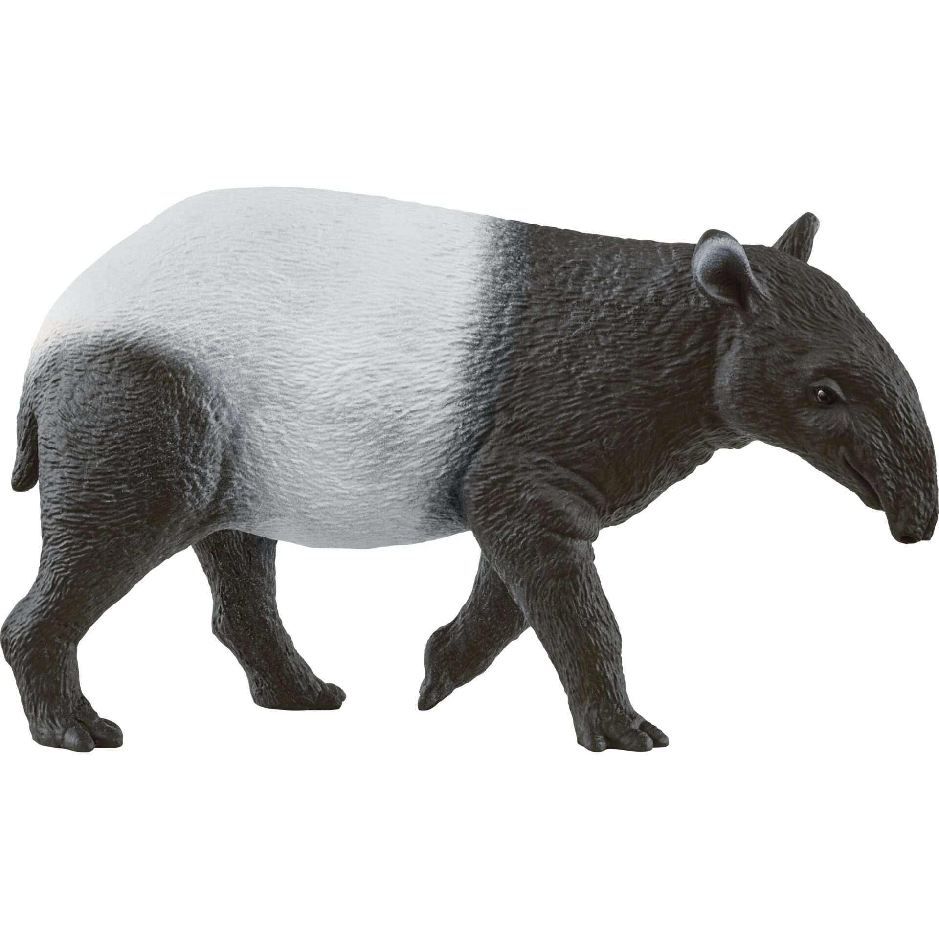 Schleich Wild Life      14850 Tapir