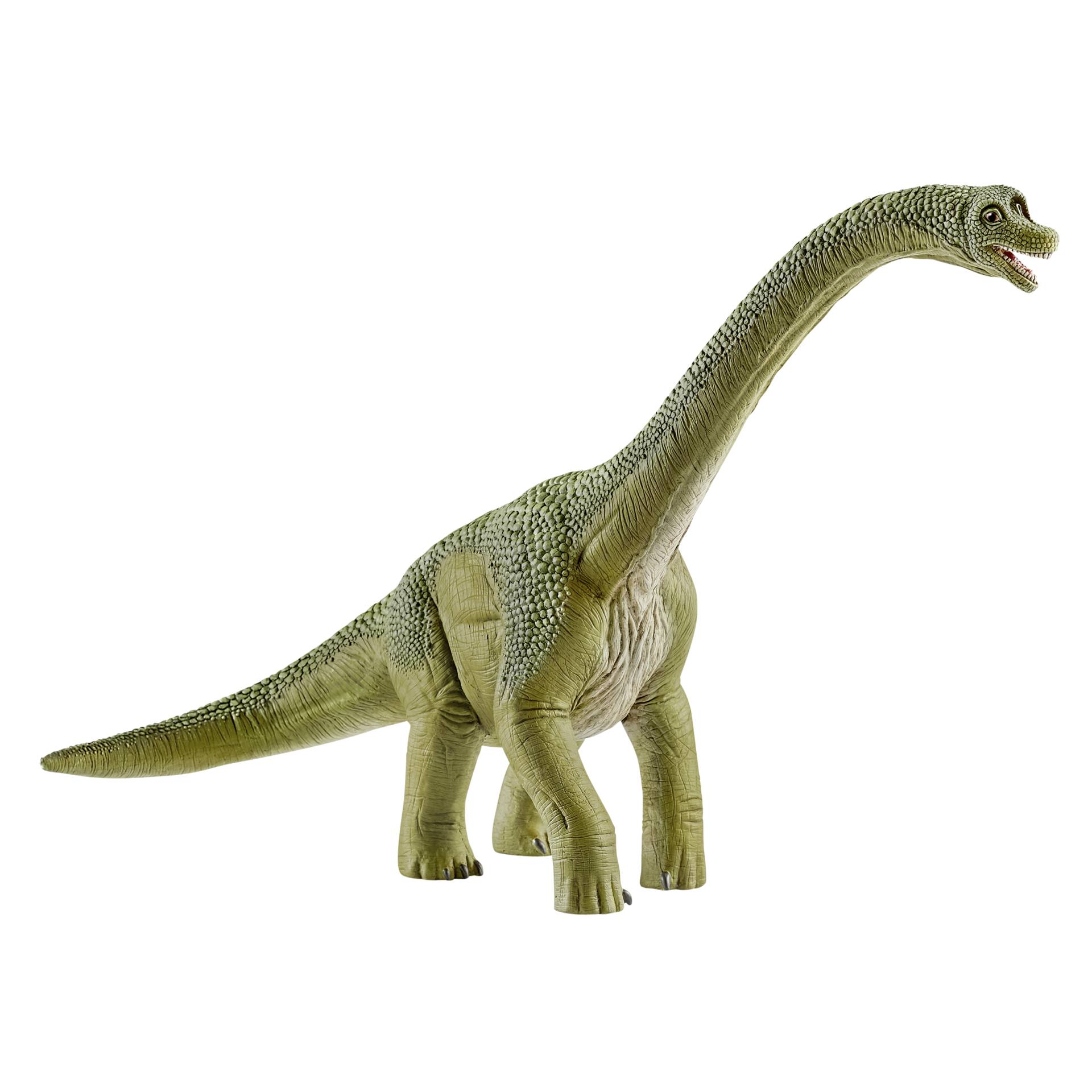 Schleich Dinosaurs         14581 Brachiosauro