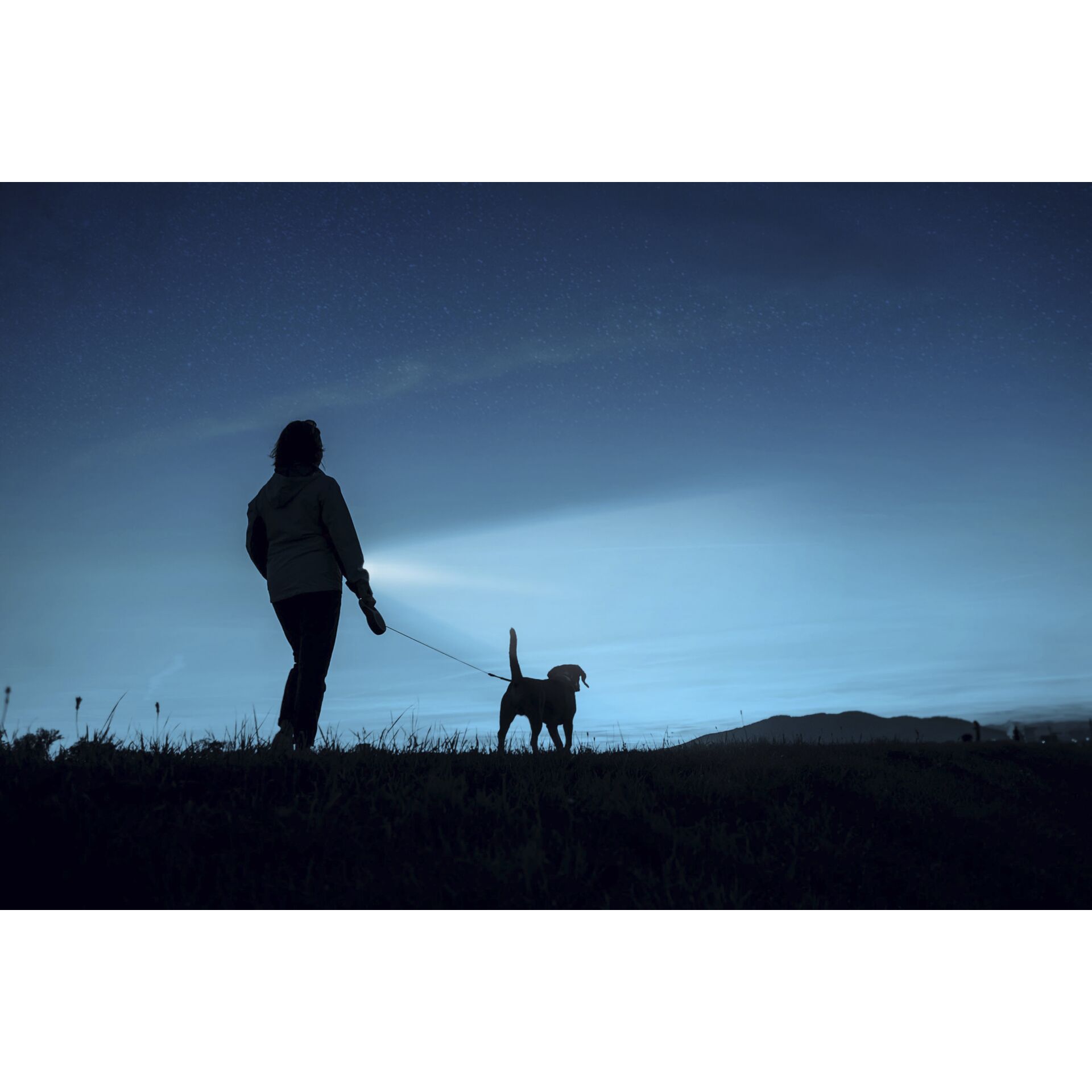 Ansmann LED torcia tasc. Daily Use 150B incl. 2xAA 1600-0428